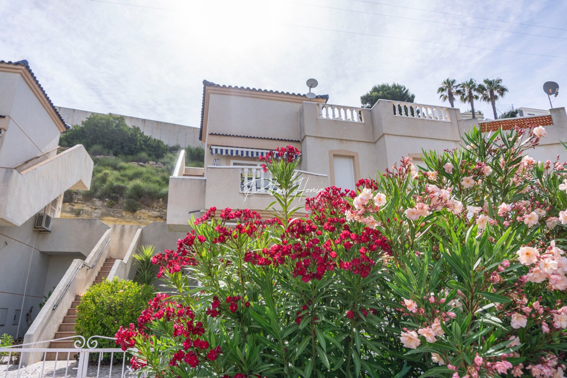 Resales - Apartment - Ciudad Quesada - La Marquesa Golf