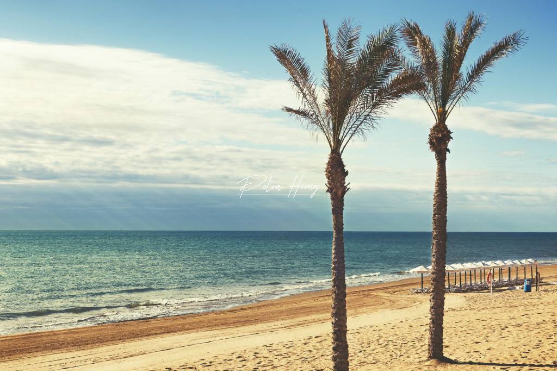 Resales - Apartment - Guardamar del Segura