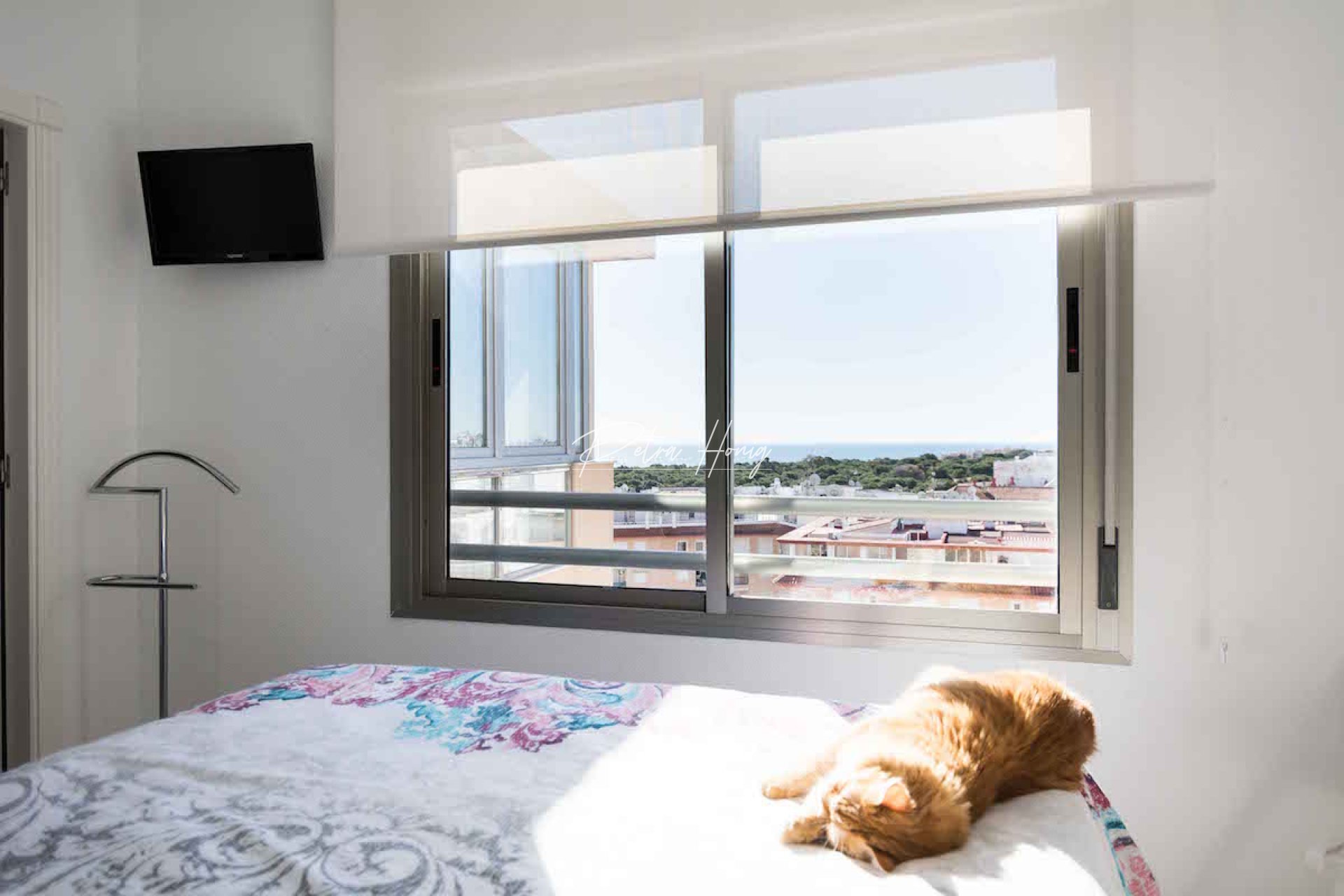 Resales - Apartment - Guardamar del Segura