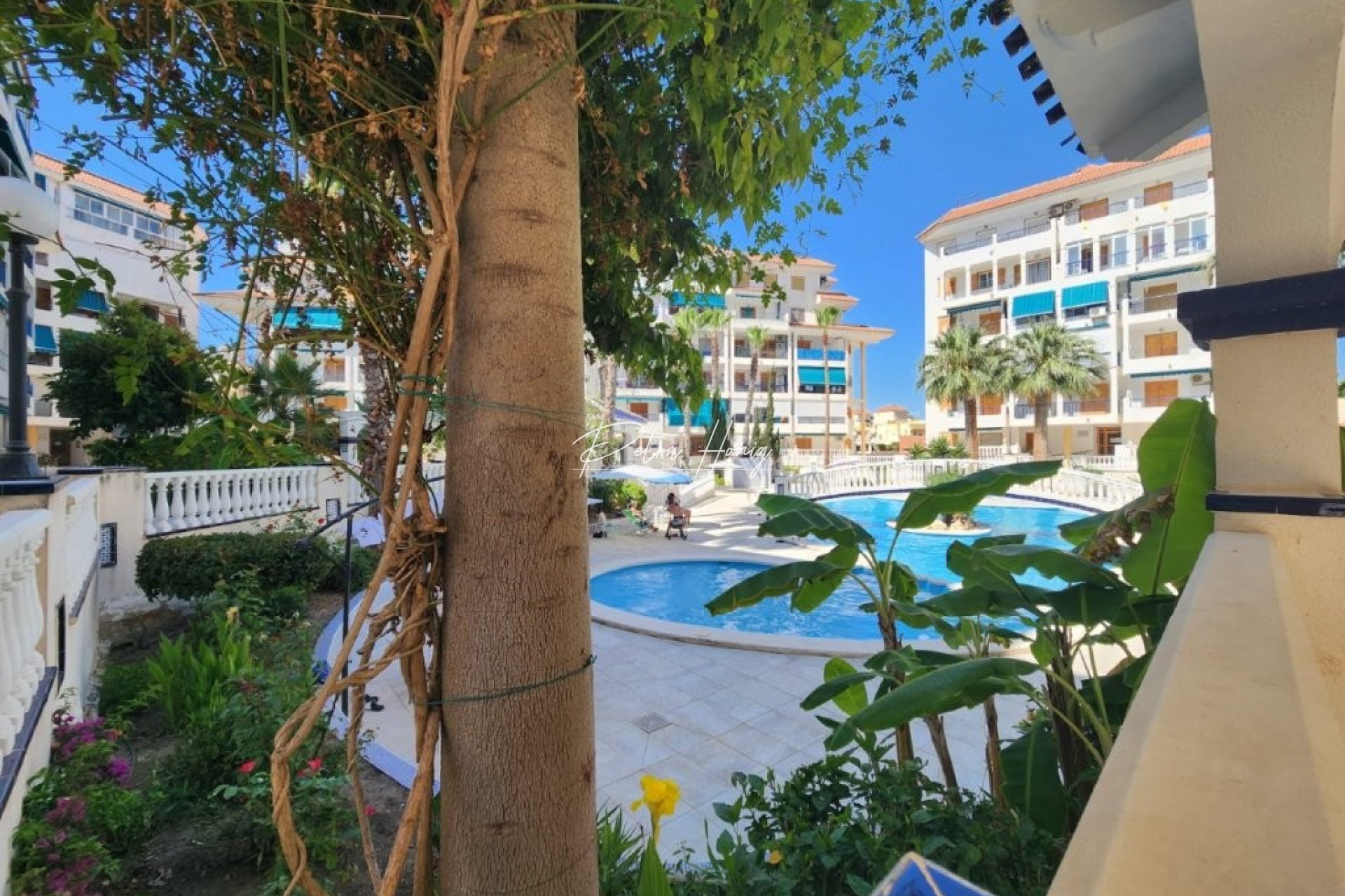 Resales - Apartment - La Mata - Los Europeos