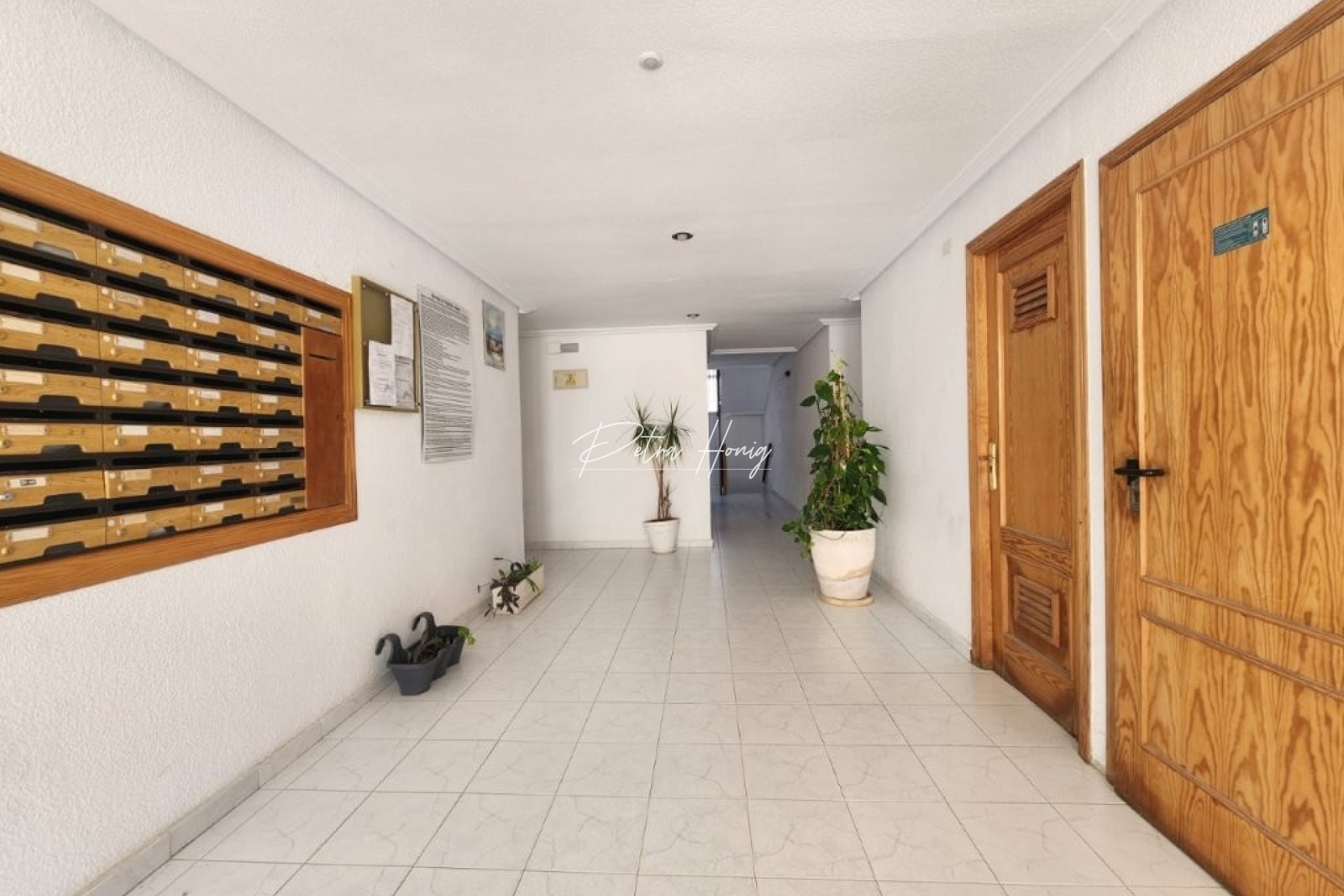 Resales - Apartment - La Mata - Los Europeos