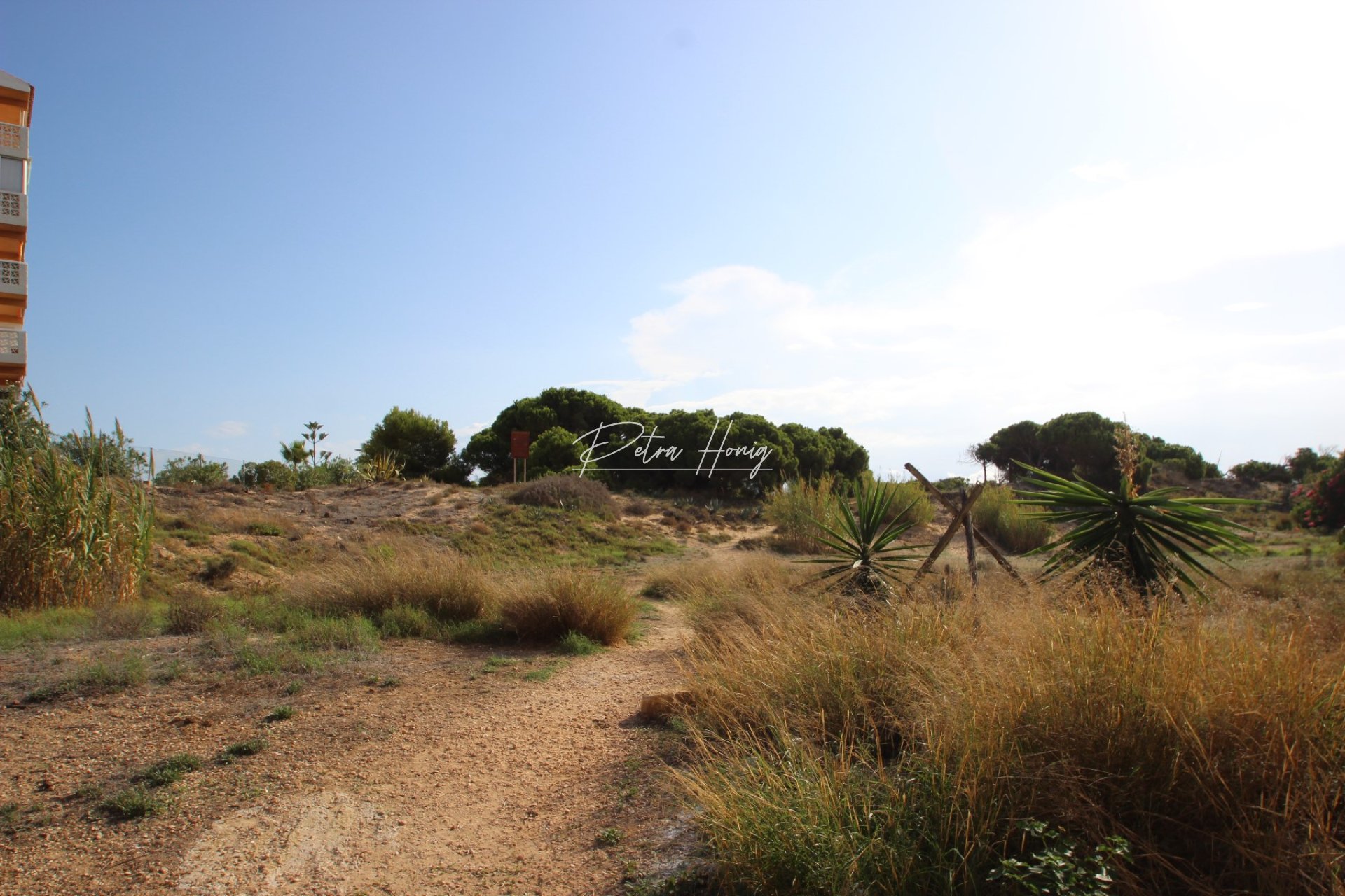 Resales - Apartment - La Mata