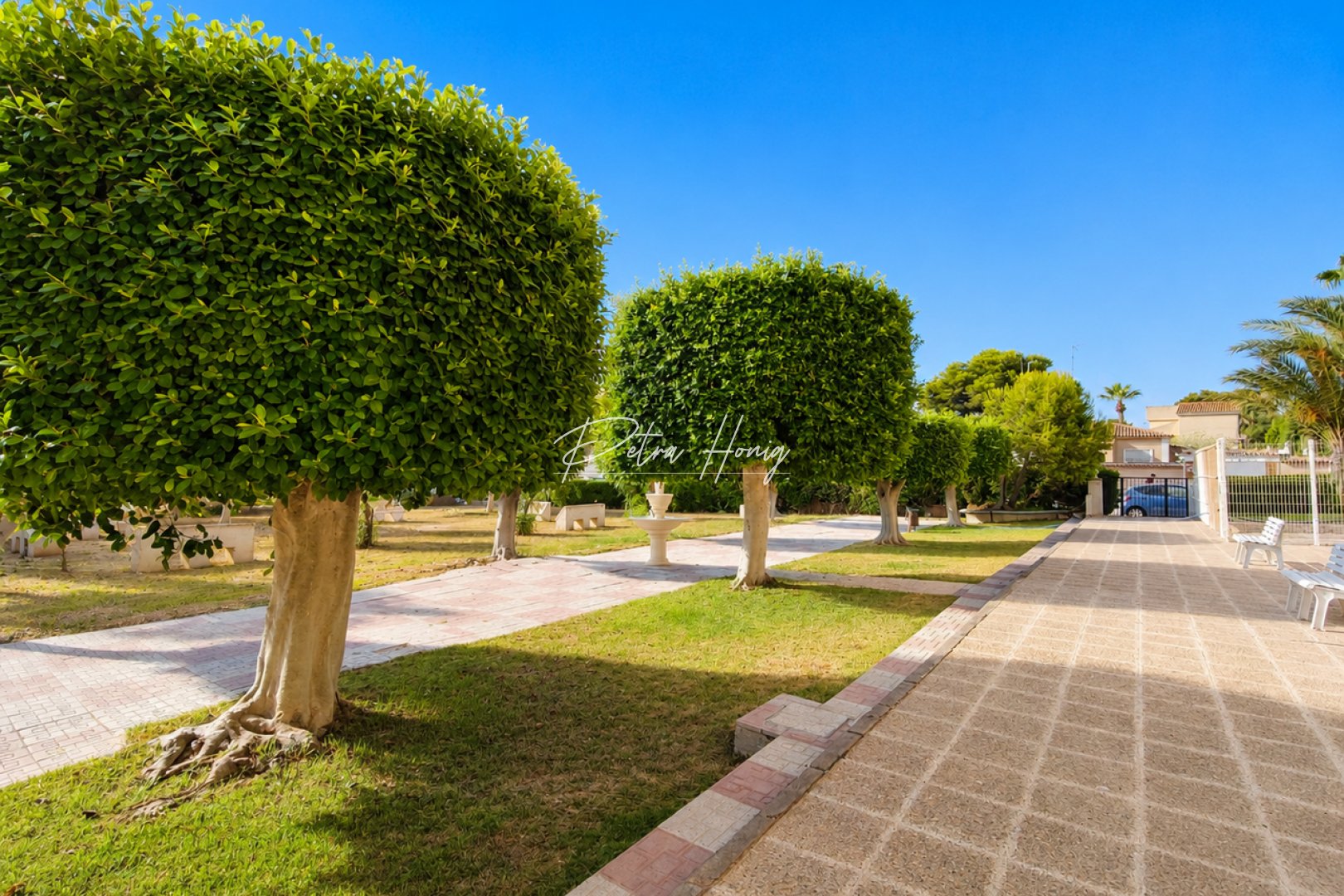Resales - Apartment - La Zenia