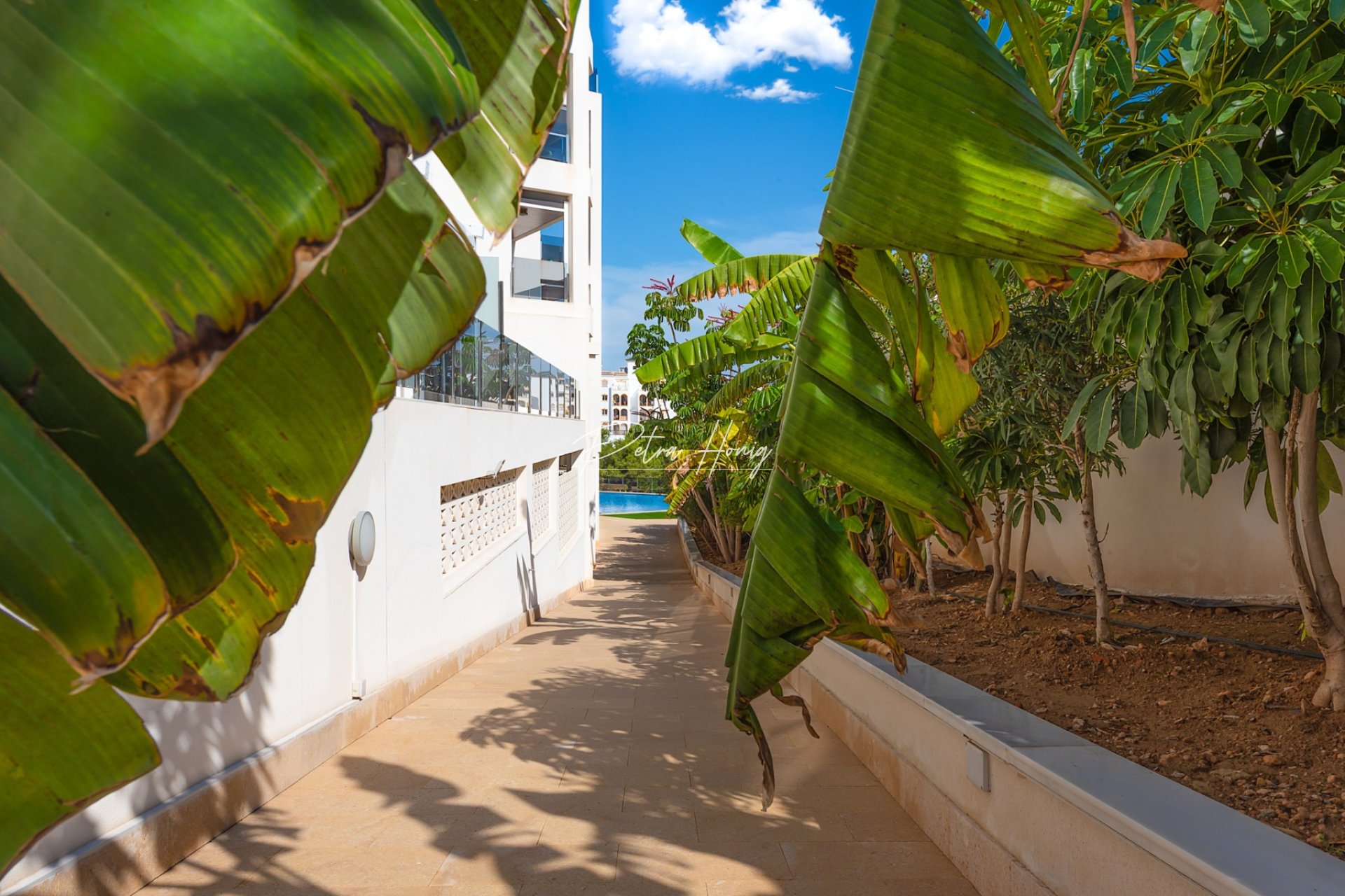 Resales - Apartment - La Zenia