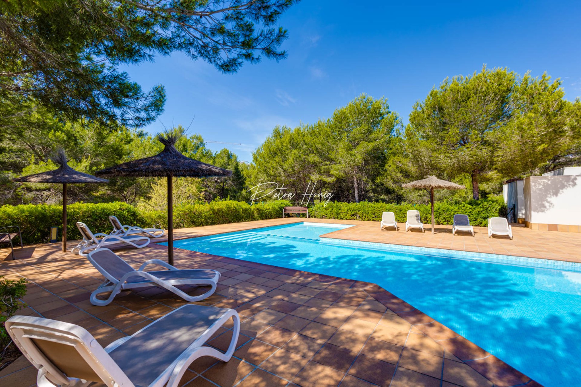 Resales - Apartment - Las Colinas - Las Colinas Golf