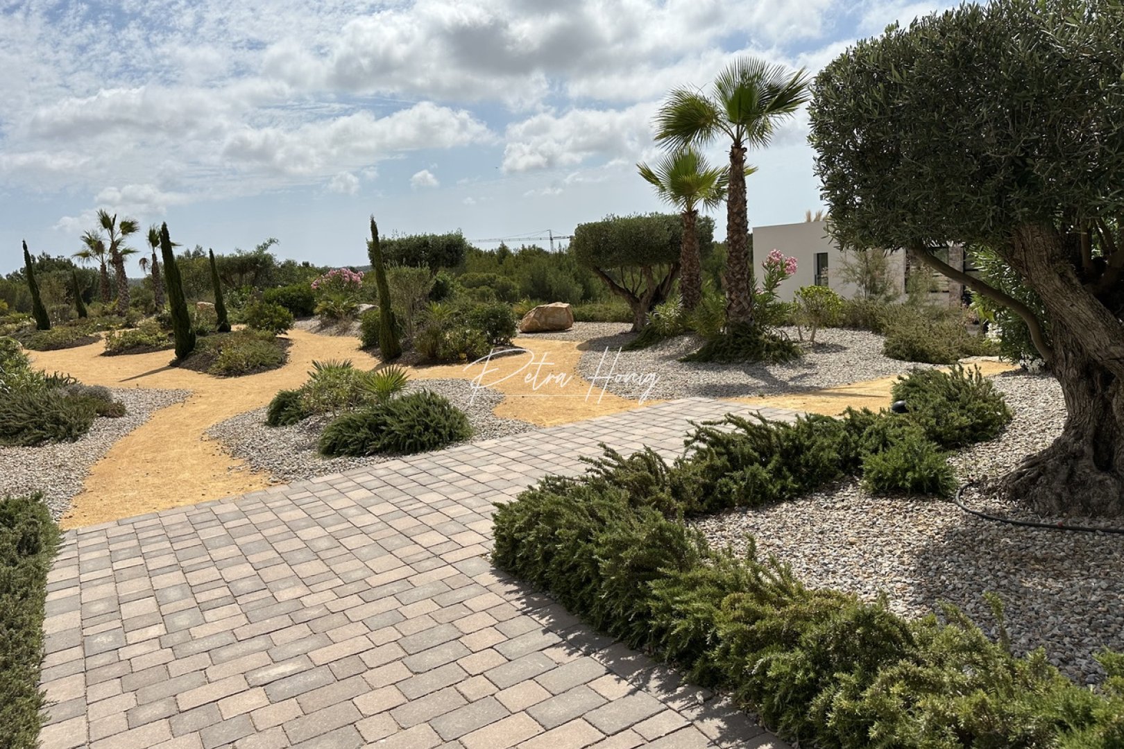 Resales - Apartment - Las Colinas - Las Colinas Golf