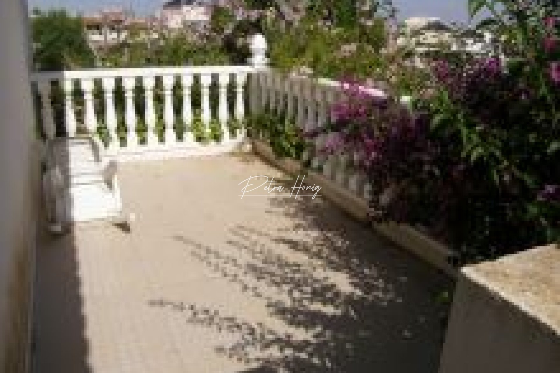 Resales - Apartment - Los Altos
