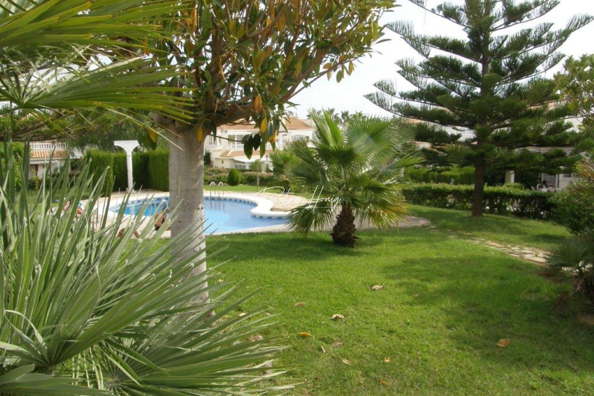 Resales - Apartment - Los Altos