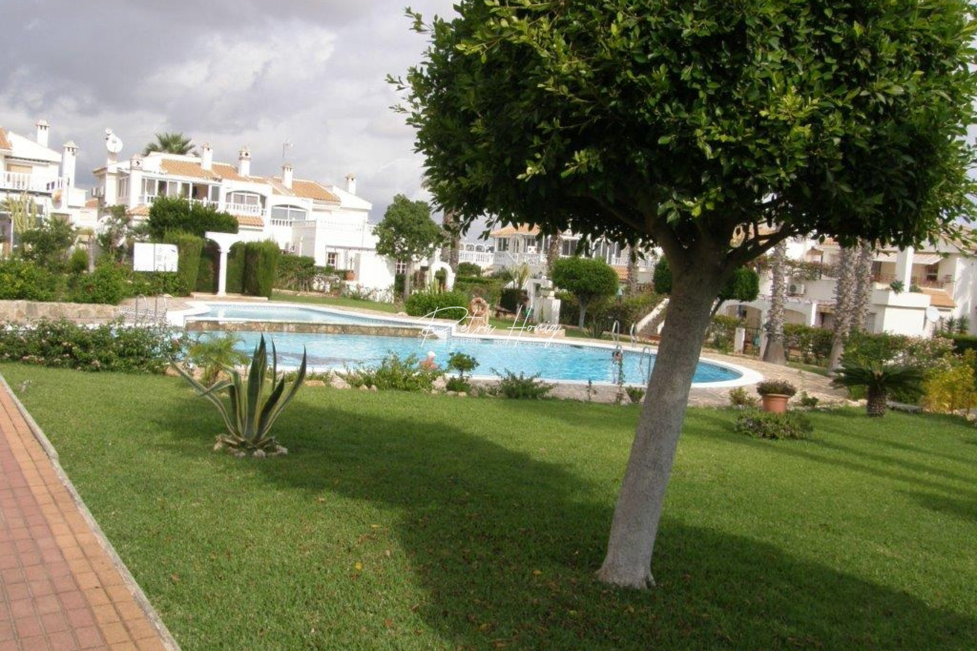 Resales - Apartment - Los Altos