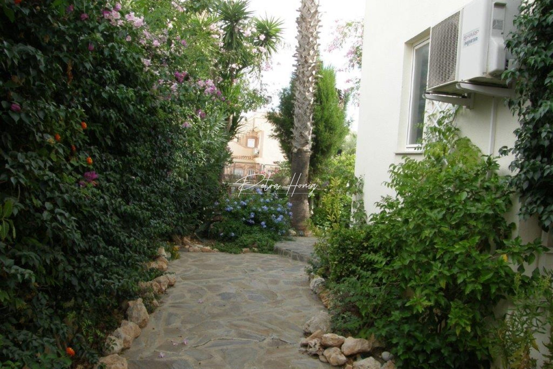 Resales - Apartment - Los Altos