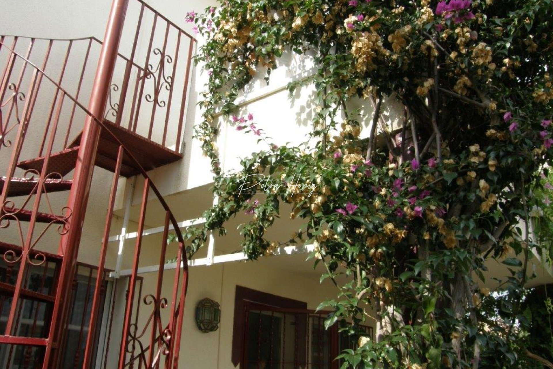 Resales - Apartment - Los Altos