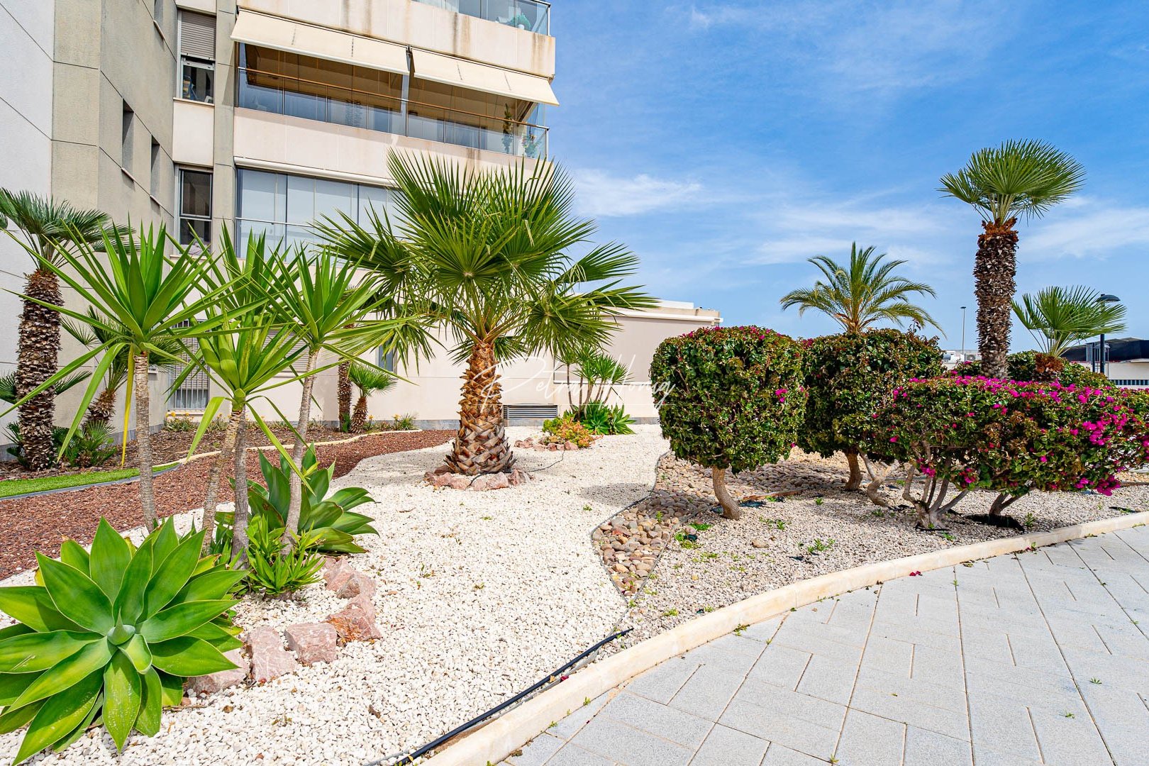 Resales - Apartment - Los Dolses - Villamartin