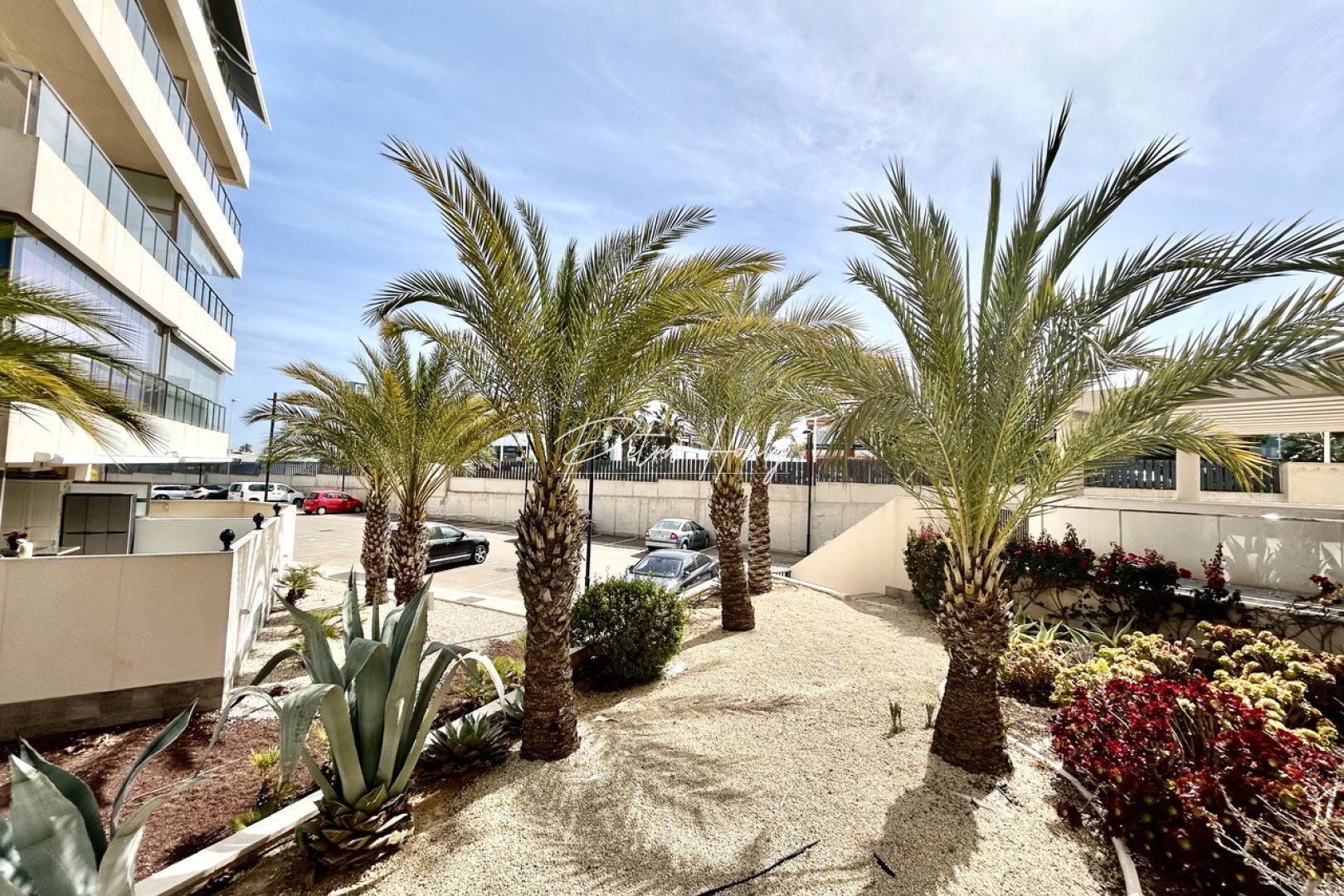 Resales - Apartment - Los Dolses