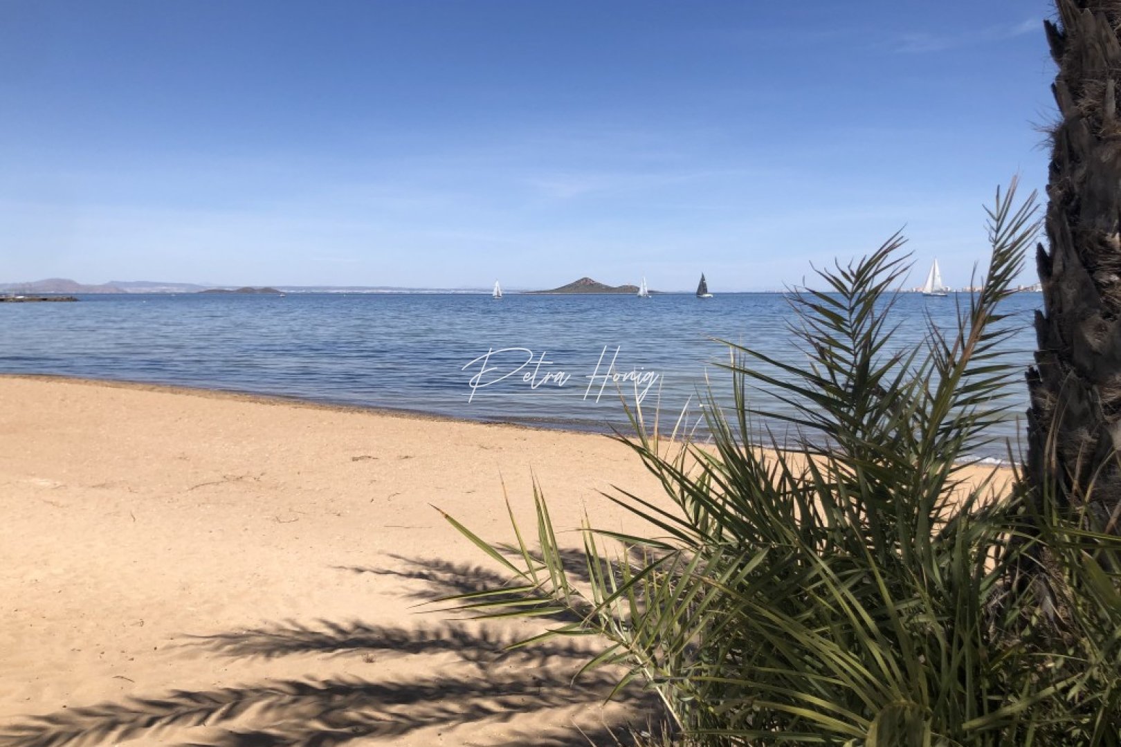 Resales - Apartment - Mar de Cristal