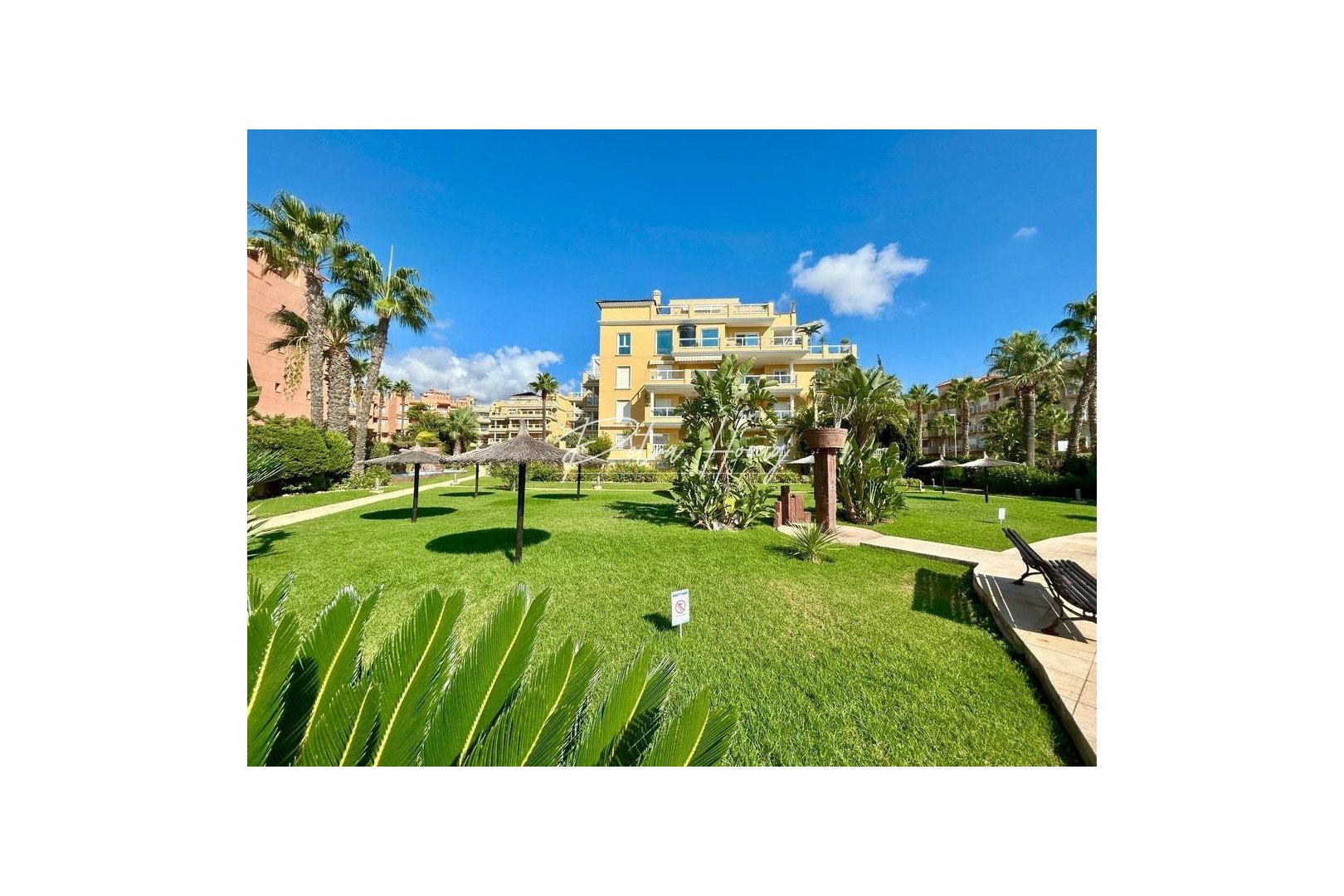 Resales - Apartment - Orihuela Costa - Aguamarina