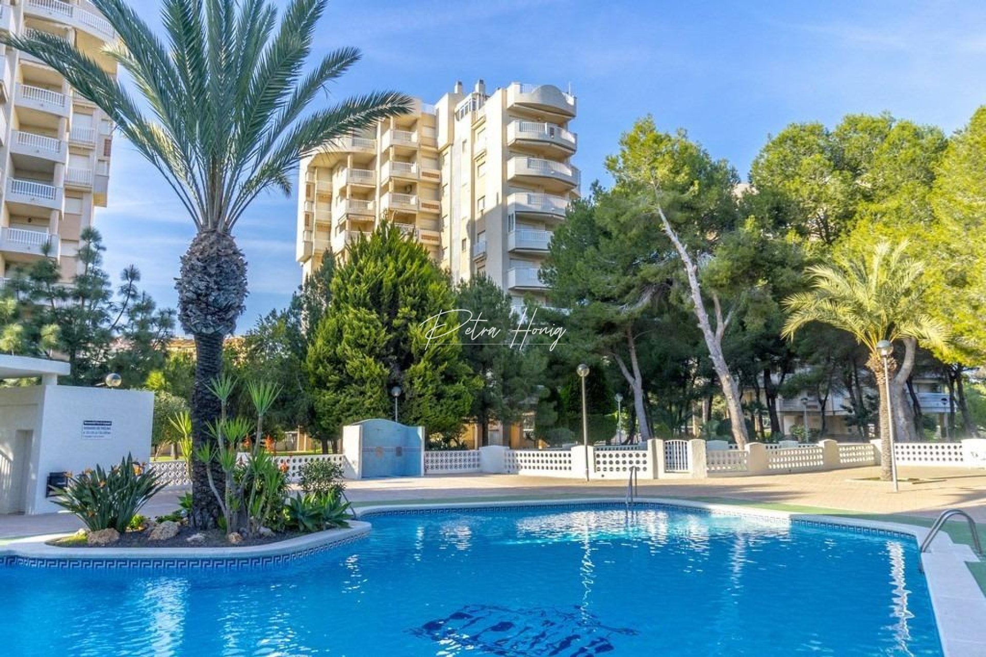 Resales - Apartment - Orihuela Costa - Altos de Campoamor