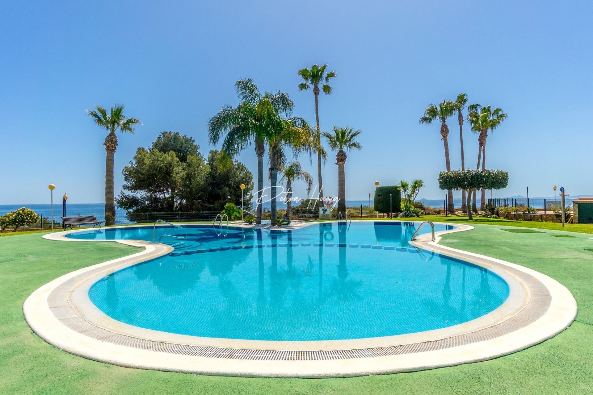 Resales - Apartment - Orihuela Costa - Campoamor