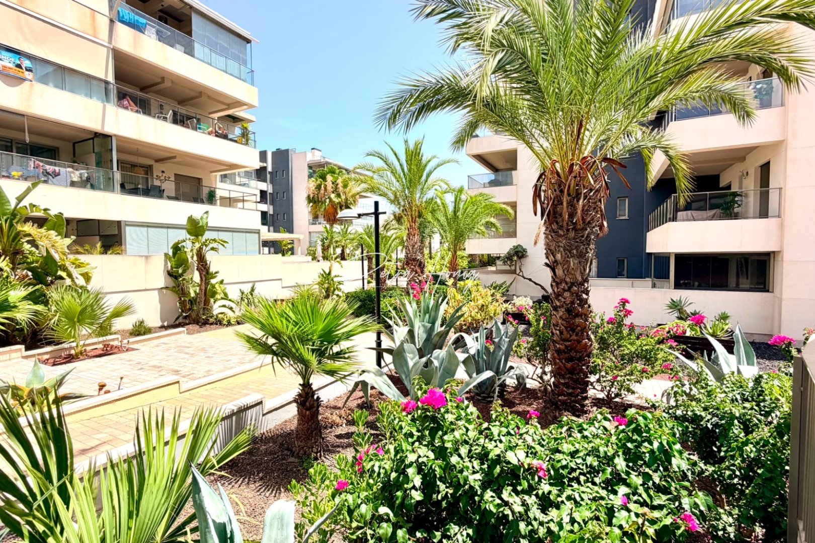 Resales - Apartment - Orihuela Costa - La Zenia