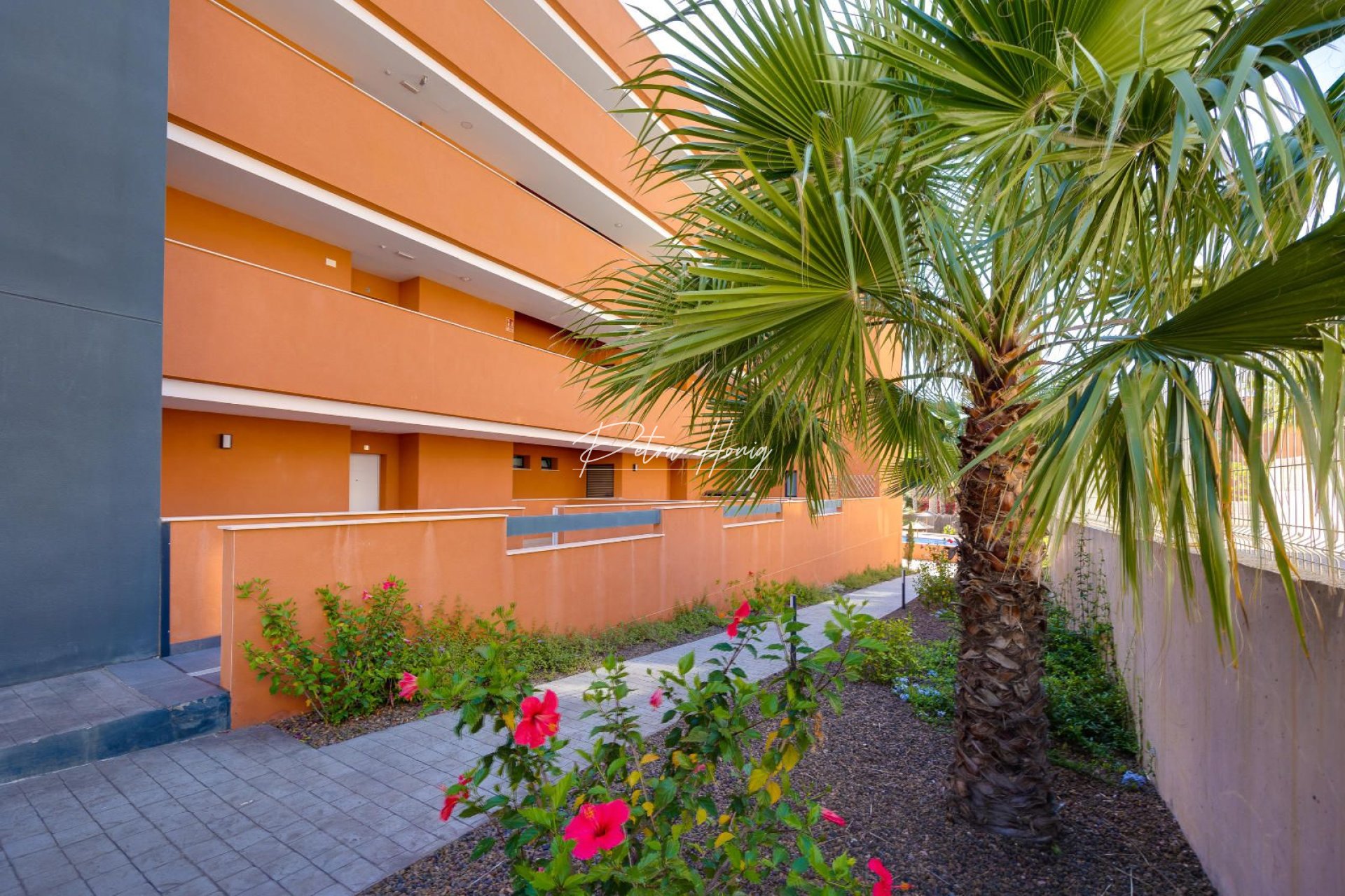 Resales - Apartment - Orihuela Costa - Las Filipinas