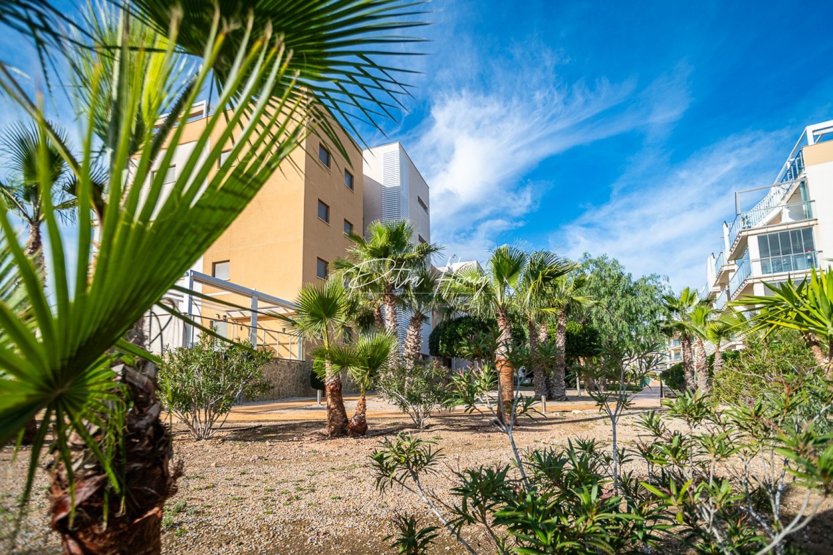 Resales - Apartment - Orihuela Costa - Los Dolses