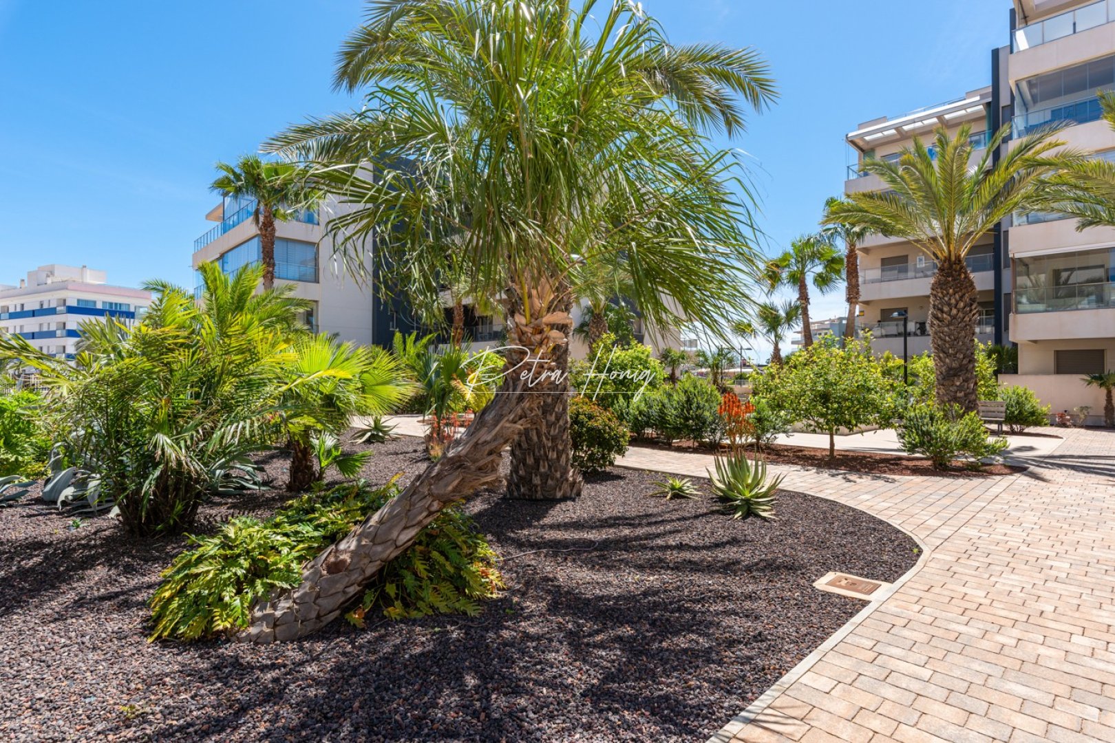 Resales - Apartment - Orihuela Costa - Los Dolses