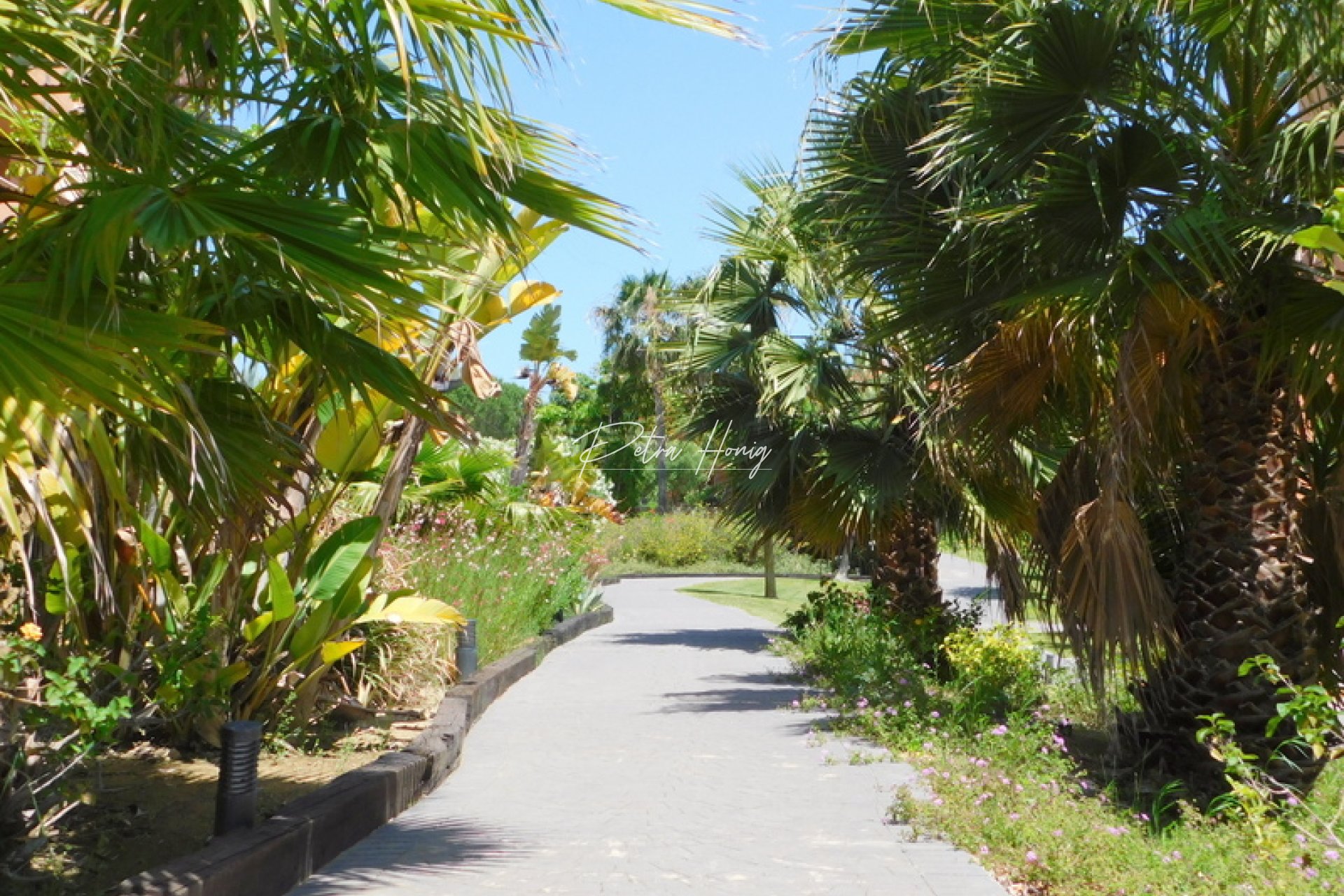Resales - Apartment - Other areas - Costa del Sol