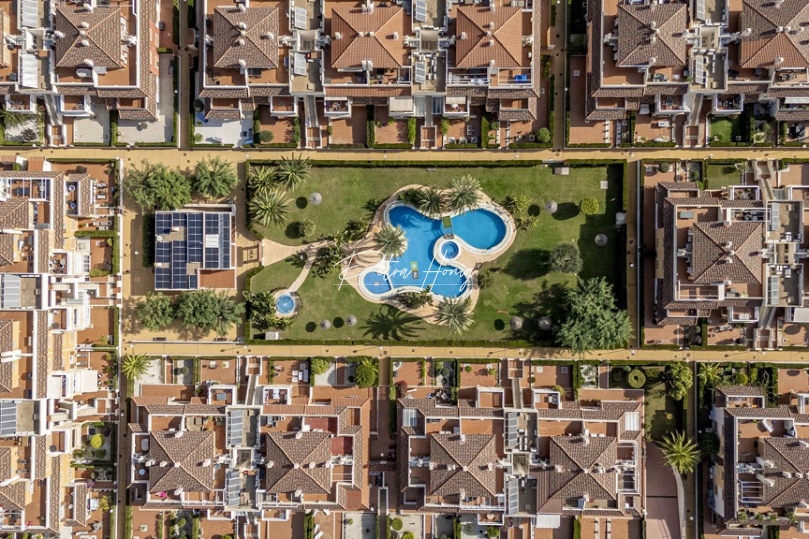 Resales - Apartment - Playa Flamenca - Zeniamar