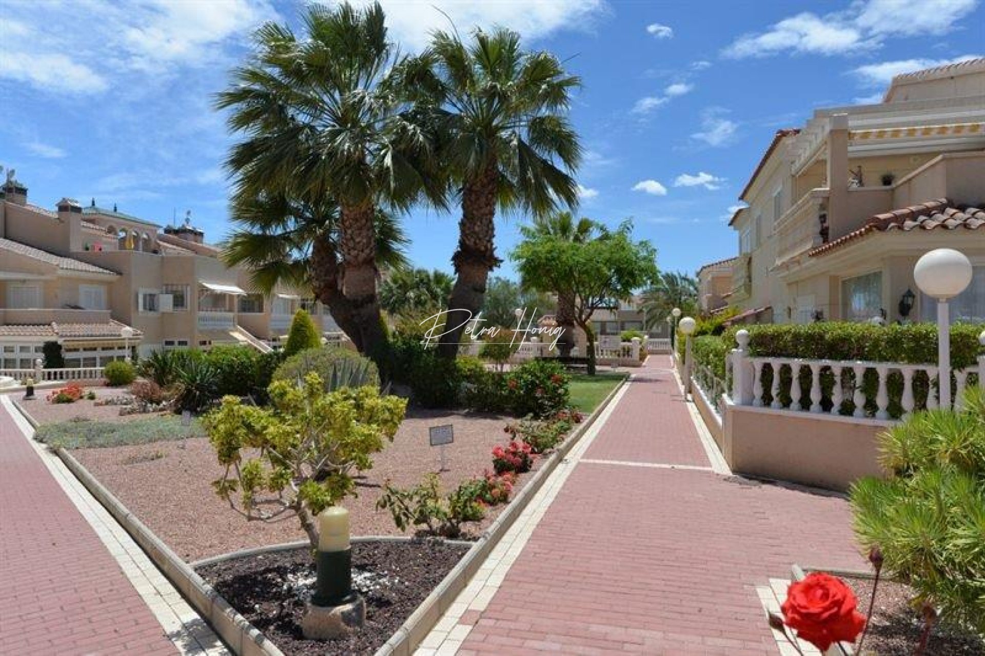 Resales - Apartment - Playa Flamenca - Zeniamar