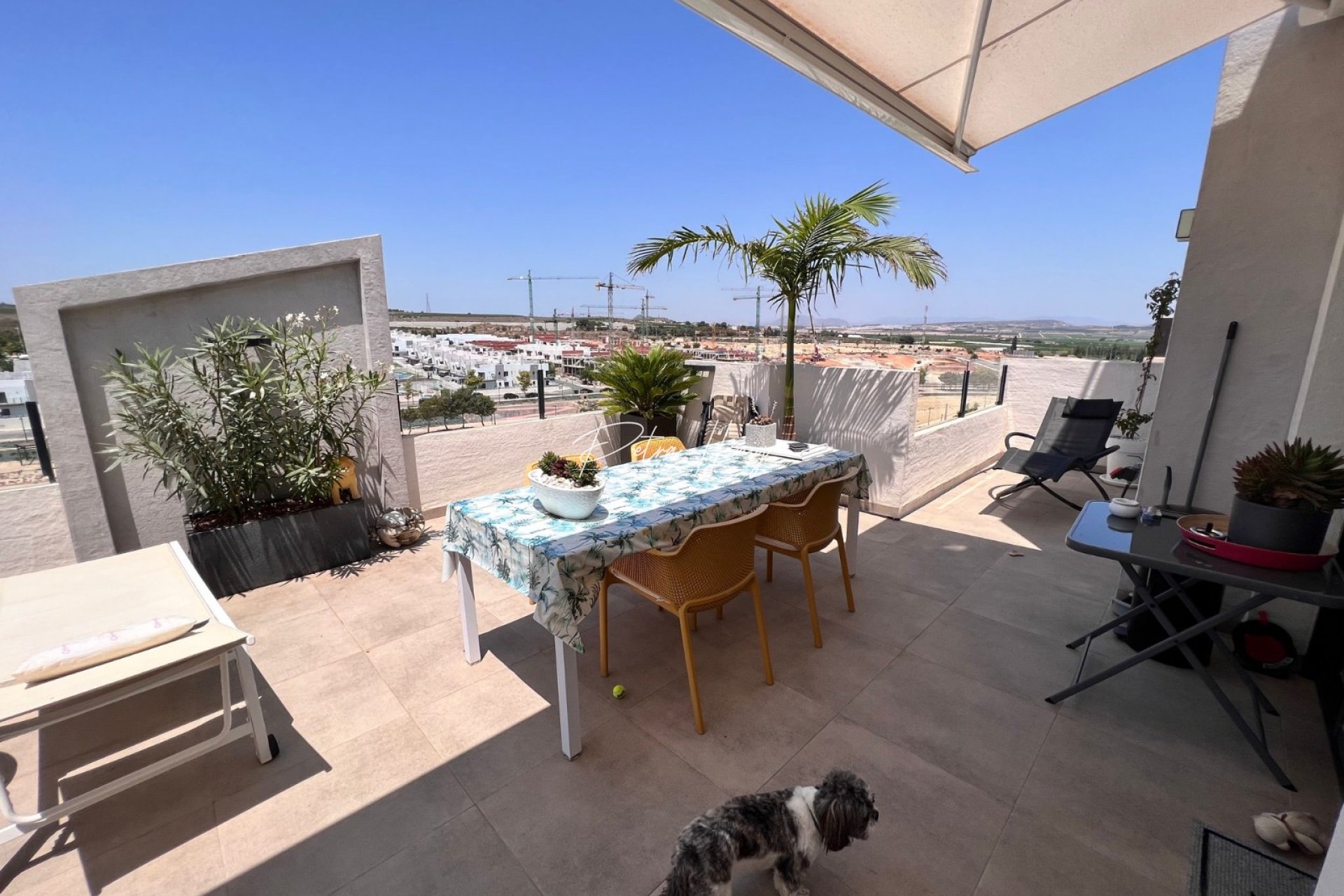 Resales - Apartment - San Miguel de Salinas