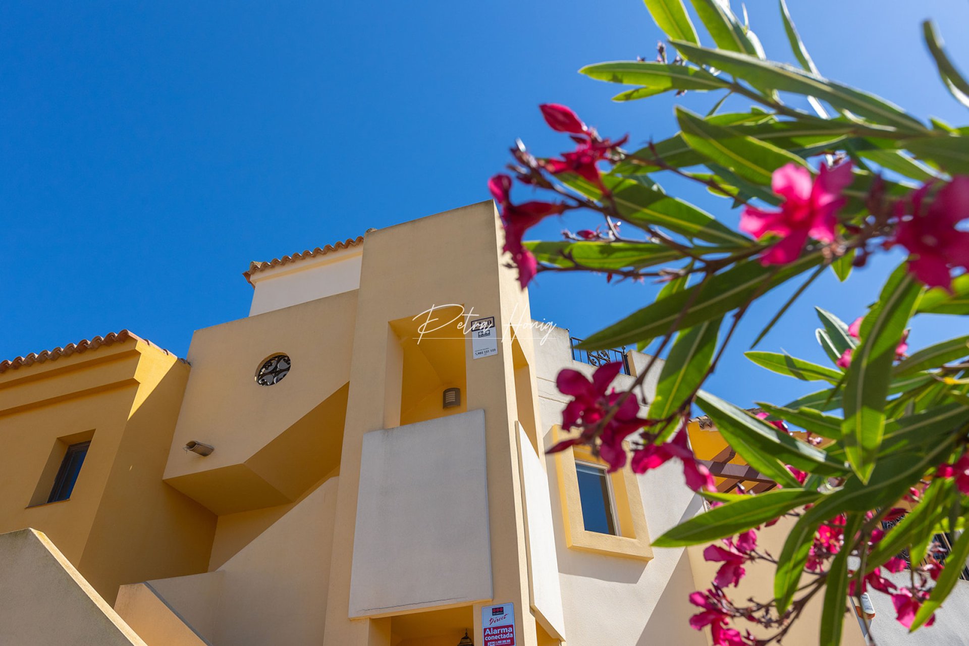 Resales - Apartment - Torrevieja - Los Altos