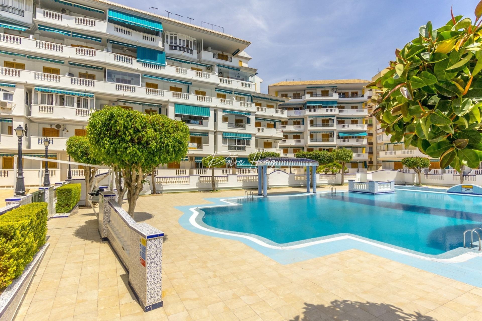 Resales - Apartment - Torrevieja - Los Europeos