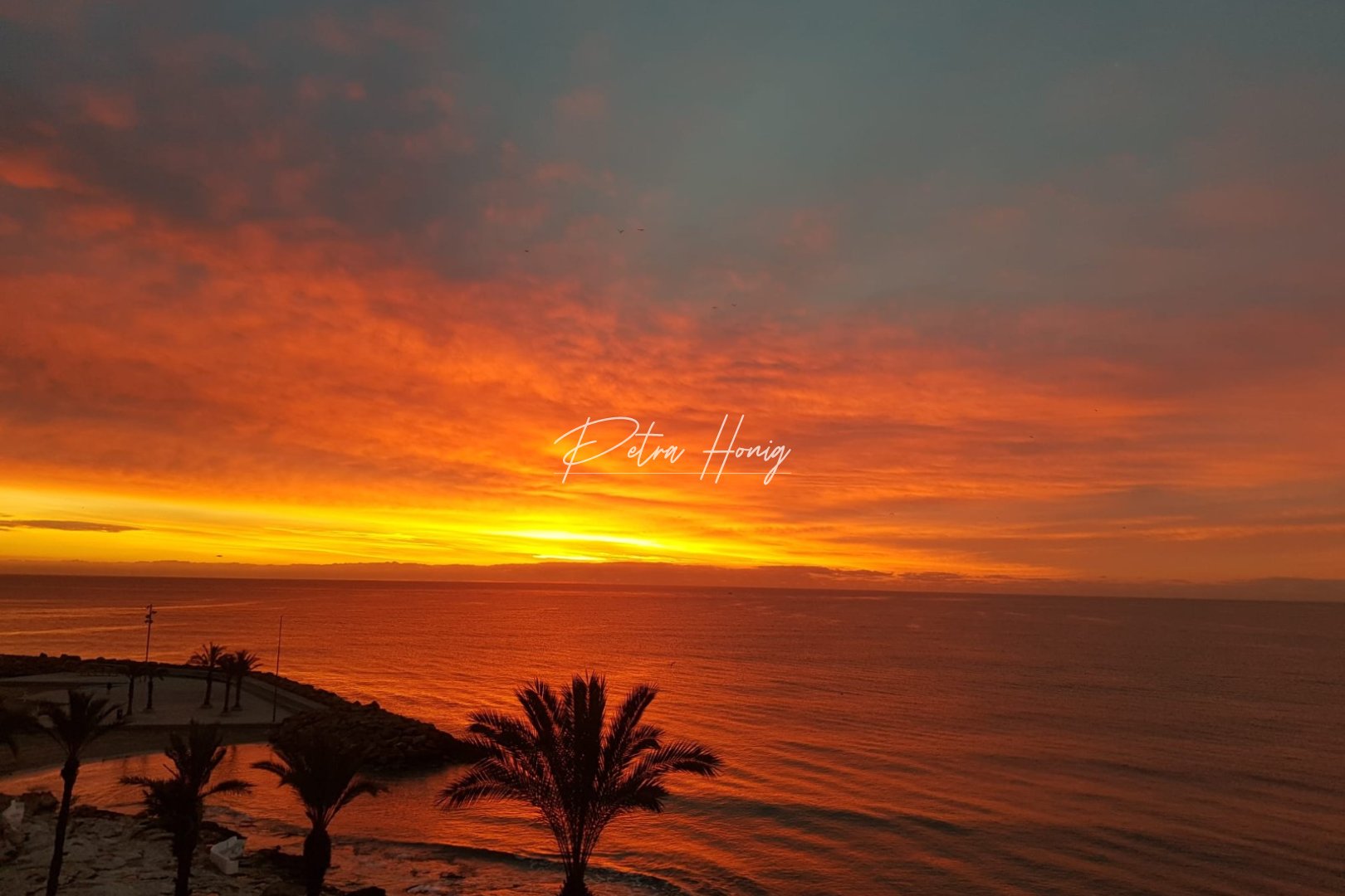 Resales - Apartment - Torrevieja - Playa del Cura