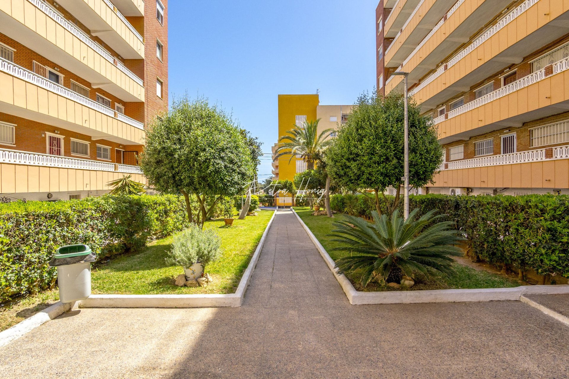 Resales - Apartment - Torrevieja - Punta Prima