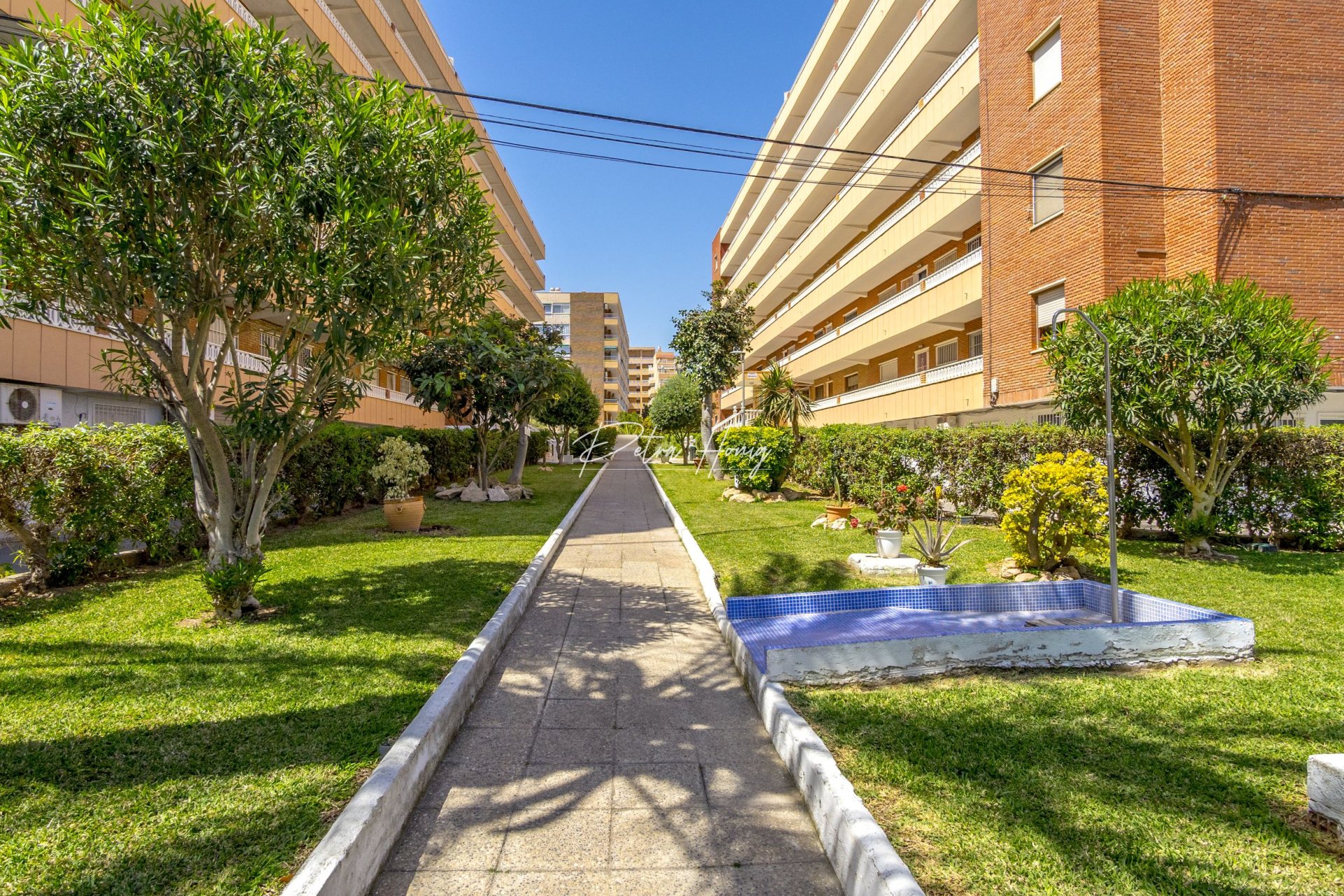 Resales - Apartment - Torrevieja - Punta Prima