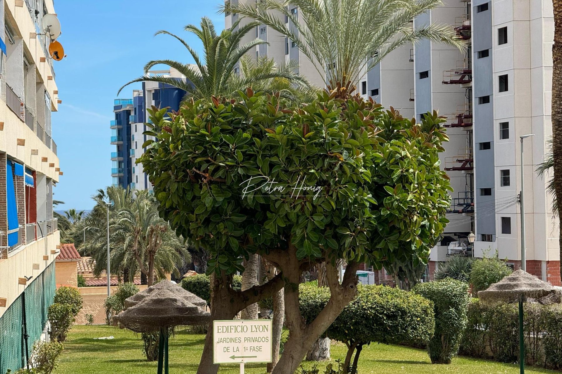 Resales - Apartment - Torrevieja - Punta Prima
