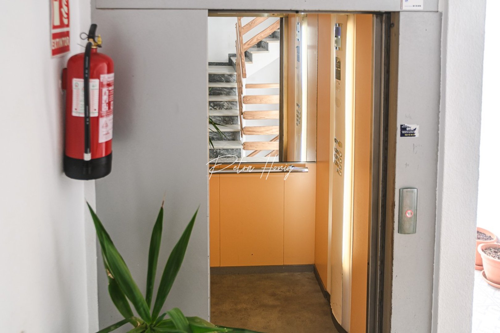 Resales - Apartment - Torrevieja - Punta Prima