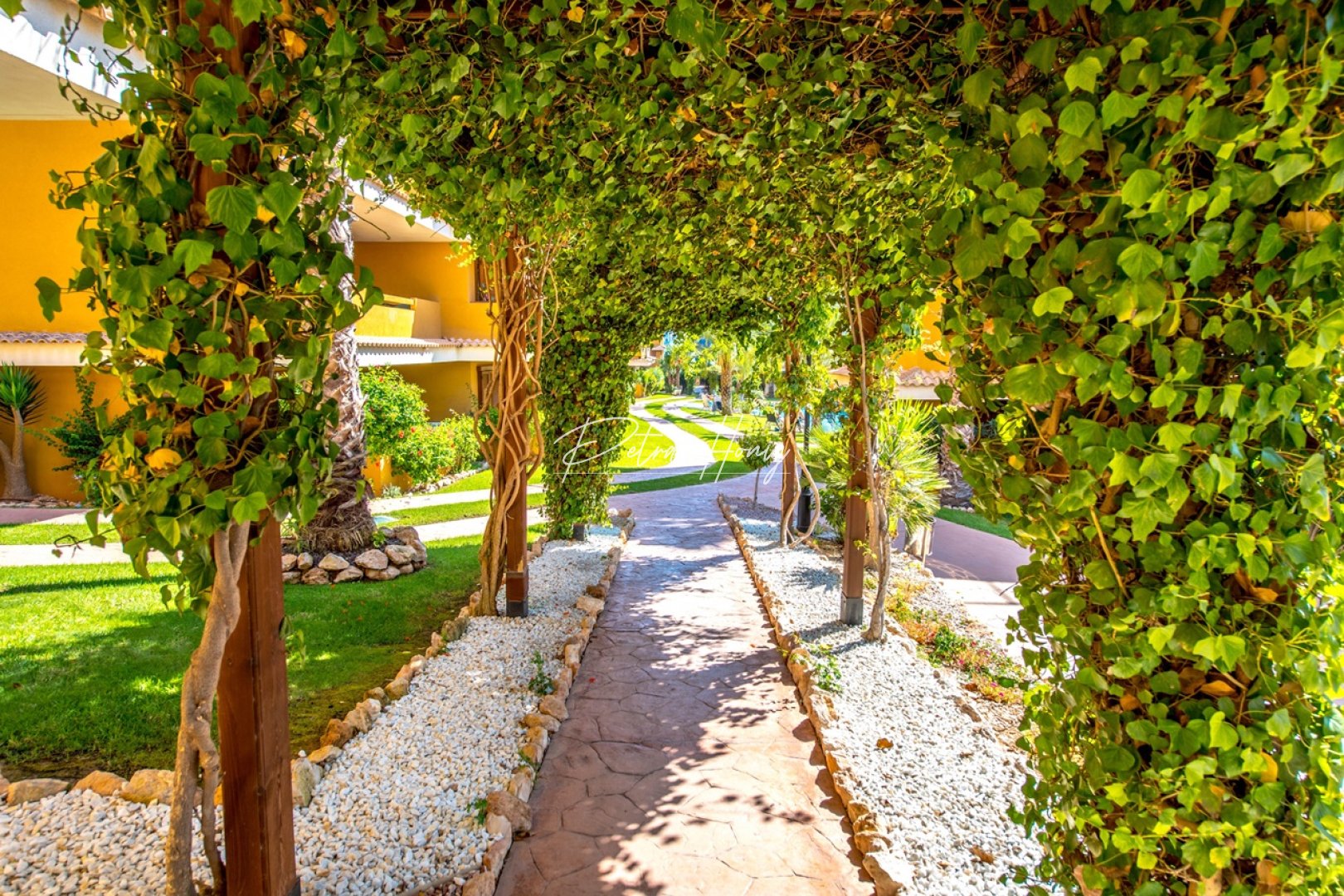 Resales - Apartment - Torrevieja - Punta Prima