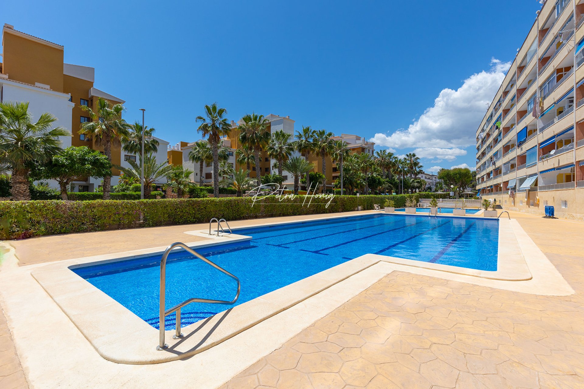 Resales - Apartment - Torrevieja - Rocio del Mar