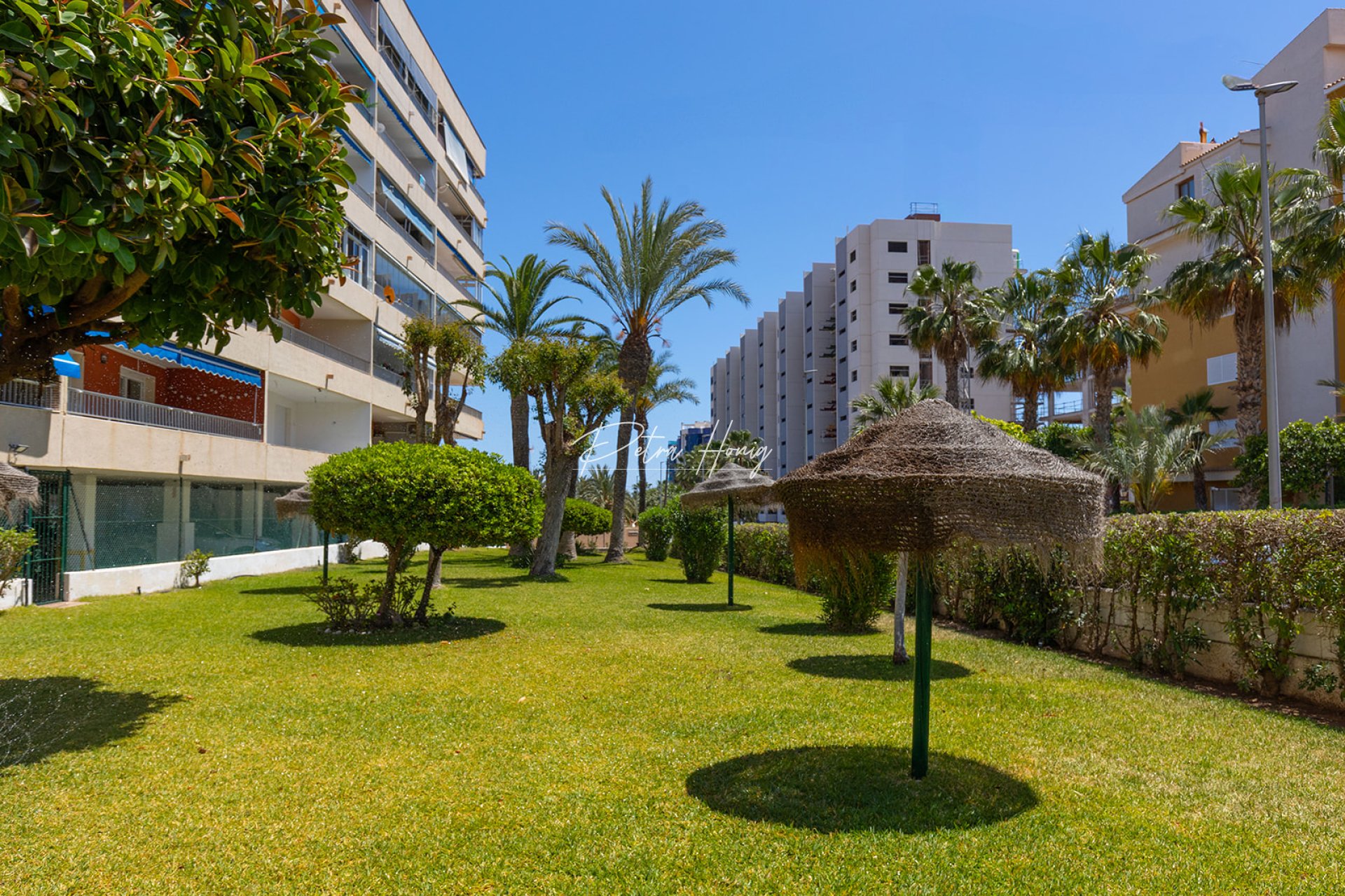 Resales - Apartment - Torrevieja - Rocio del Mar