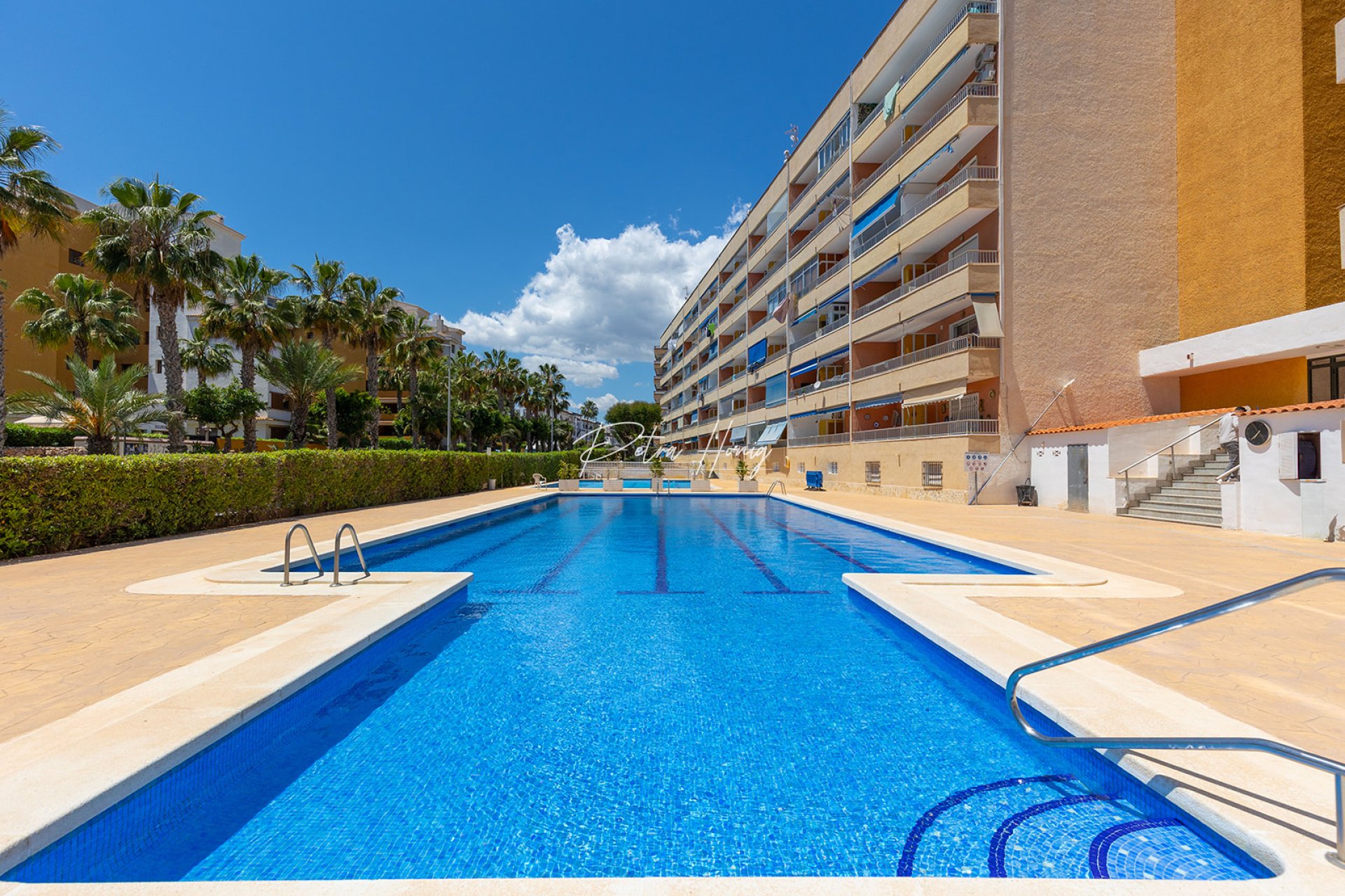 Resales - Apartment - Torrevieja - Rocio del Mar