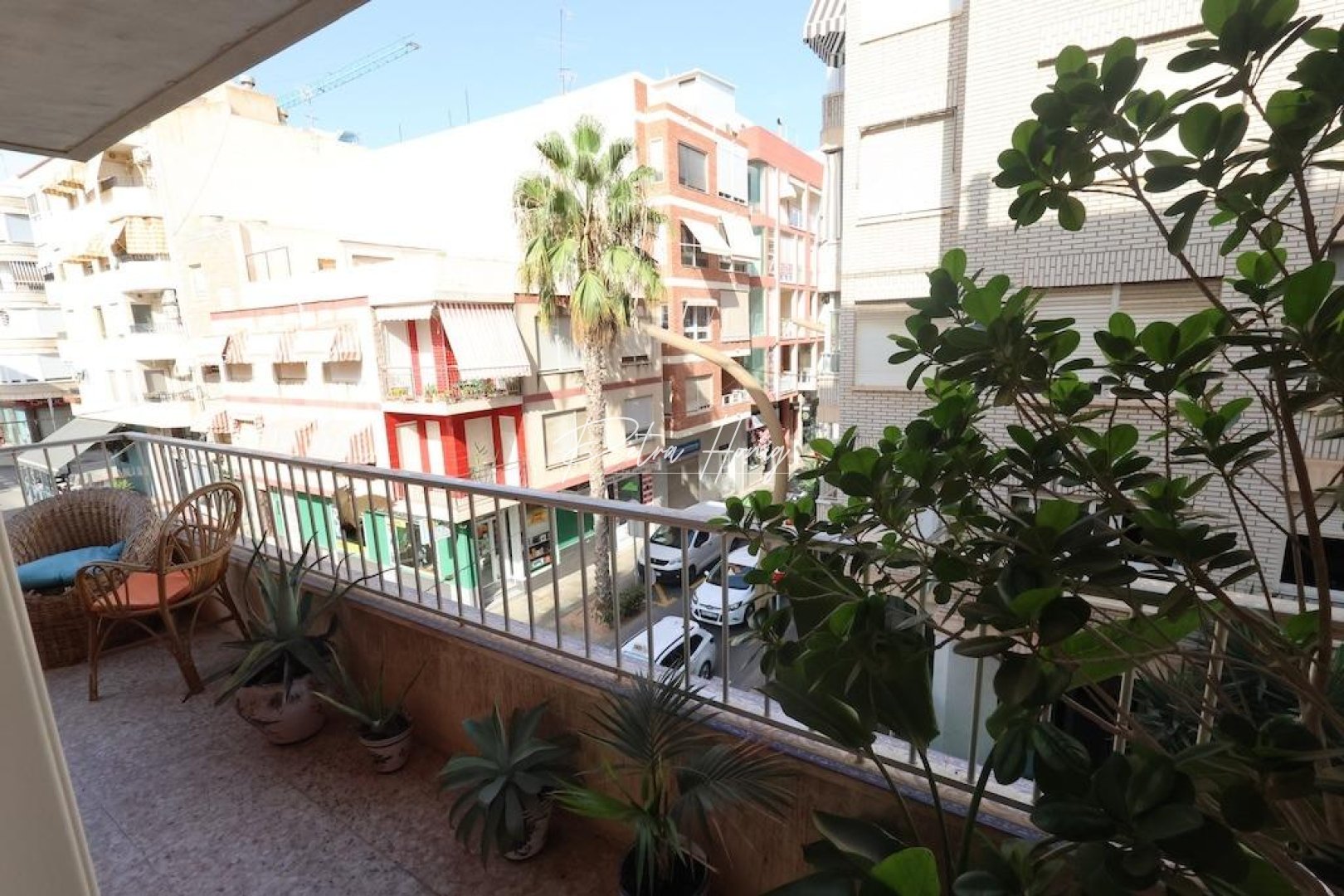 Resales - Apartment - Torrevieja - torrevieja