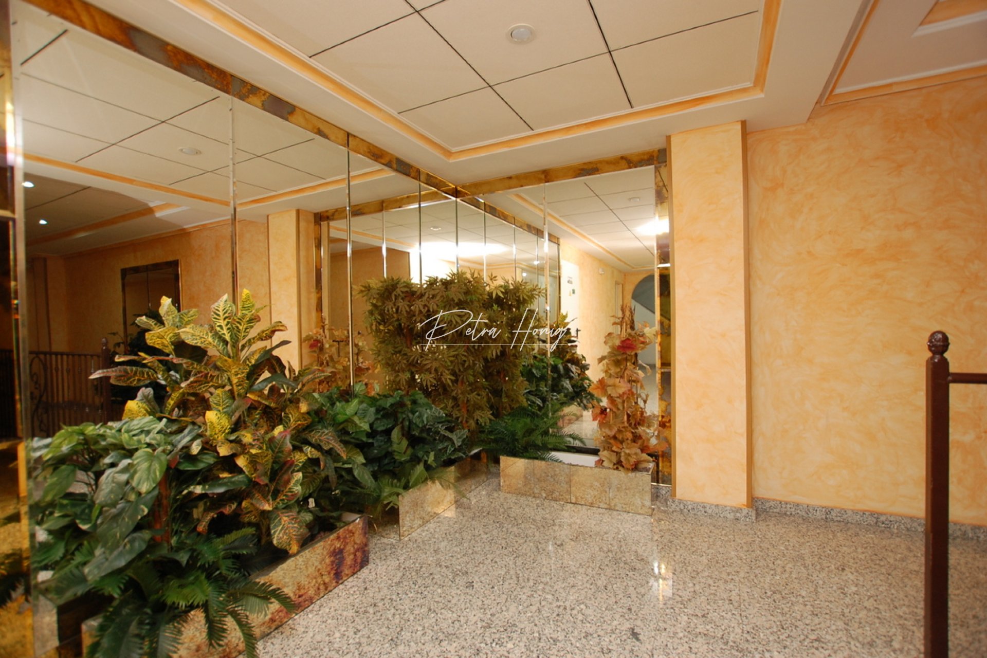 Resales - Apartment - Torrevieja
