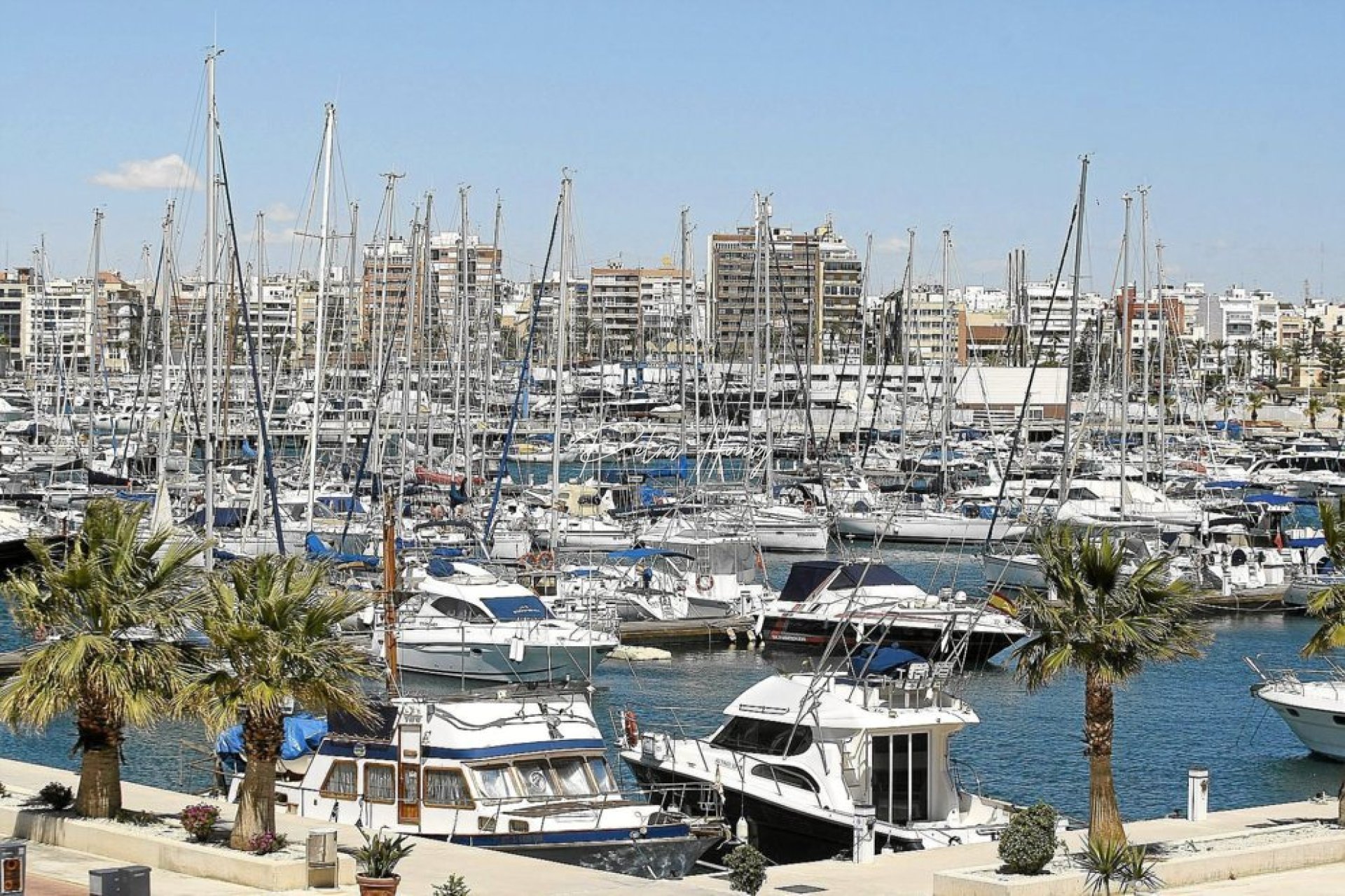 Resales - Apartment - Torrevieja