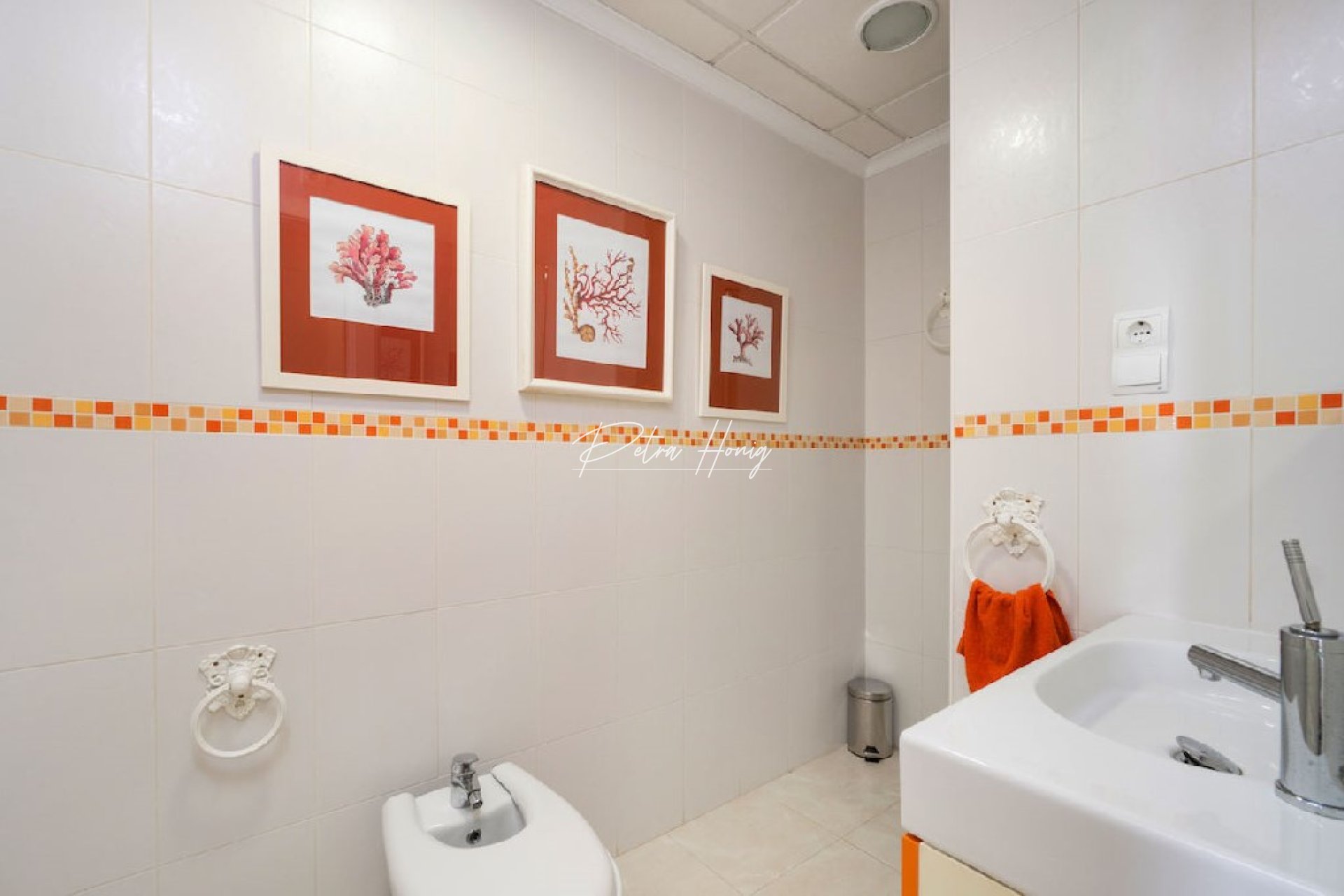 Resales - Apartment - Torrevieja