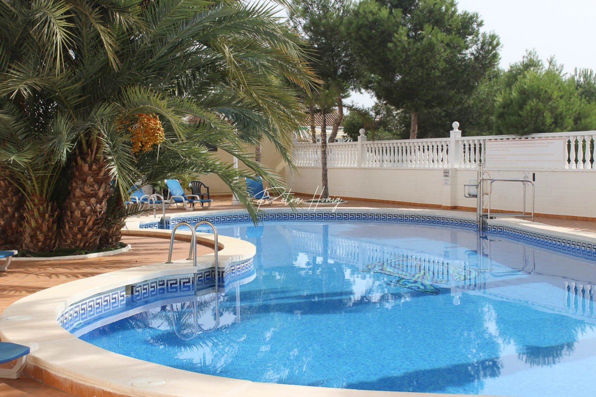 Resales - Appartement - Guardamar del Segura - El Eden