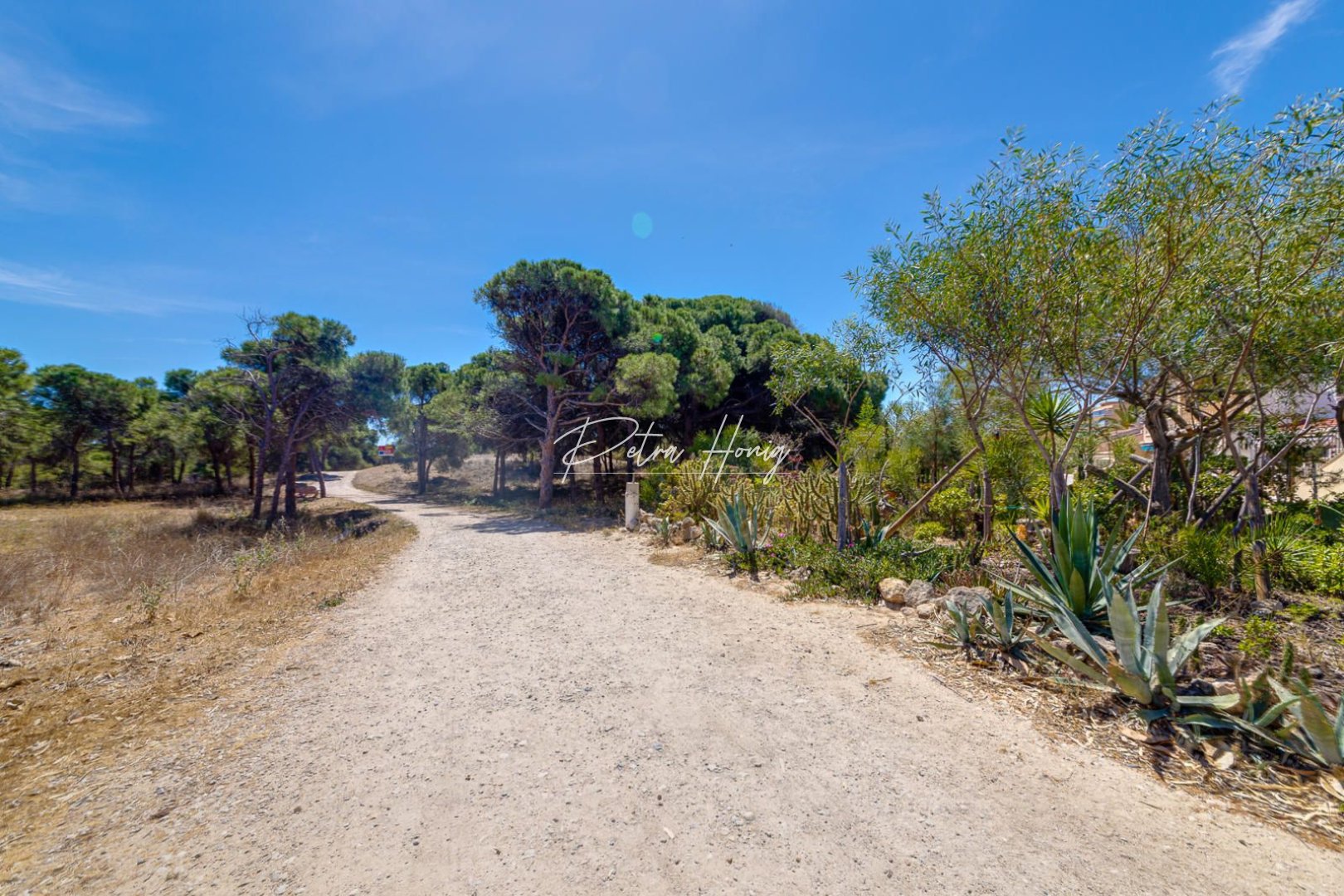 Resales - Appartement - Guardamar del Segura - Pinomar