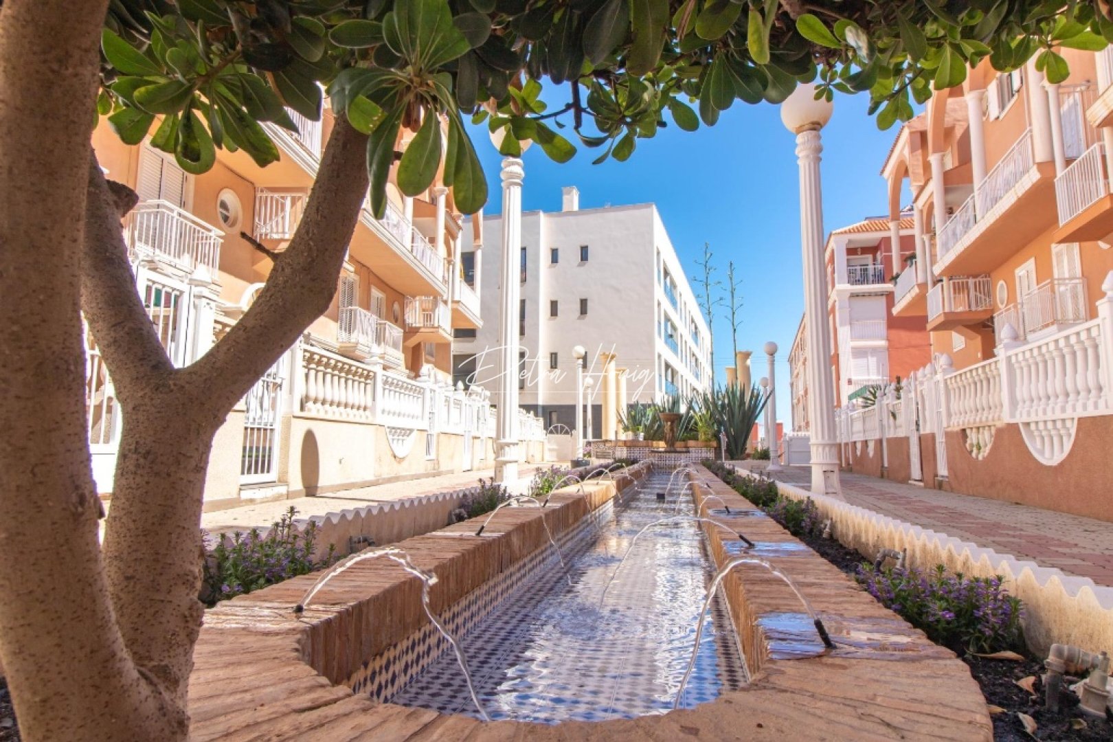 Resales - Appartement - La Mata