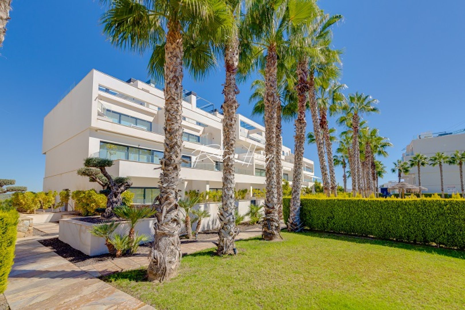 Resales - Appartement - Las Colinas - Las Colinas Golf