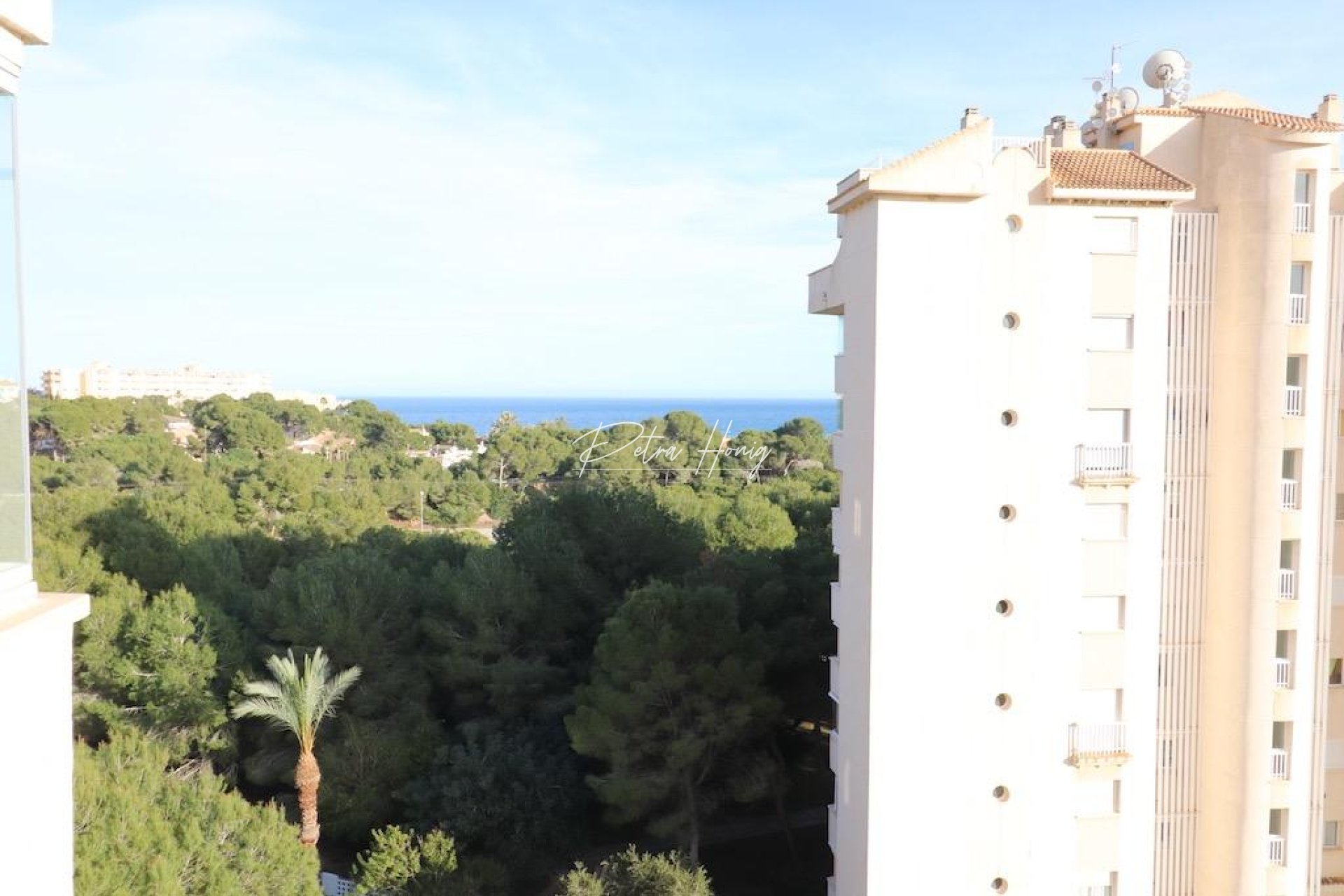 Resales - Appartement - Orihuela Costa - Campoamor