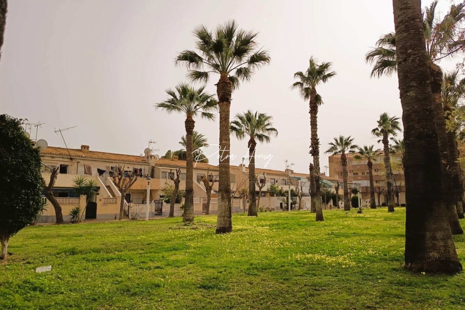 Resales - Appartement - Orihuela Costa - La Regia